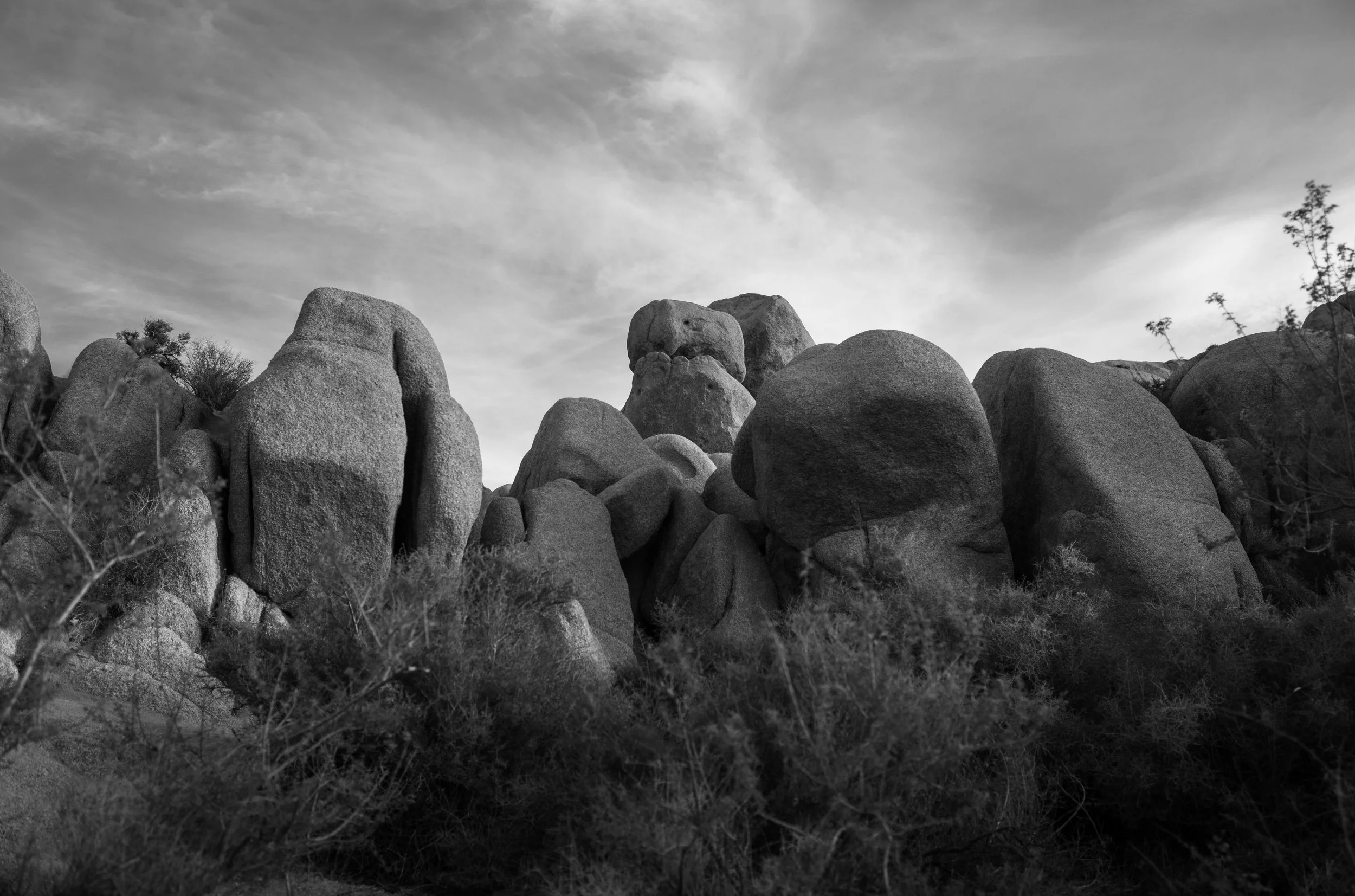 L1001189.jpg
