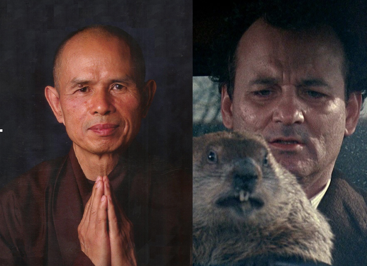 Thich Nhat Hanh VS Phil Connors in a battle of Vinefulness
