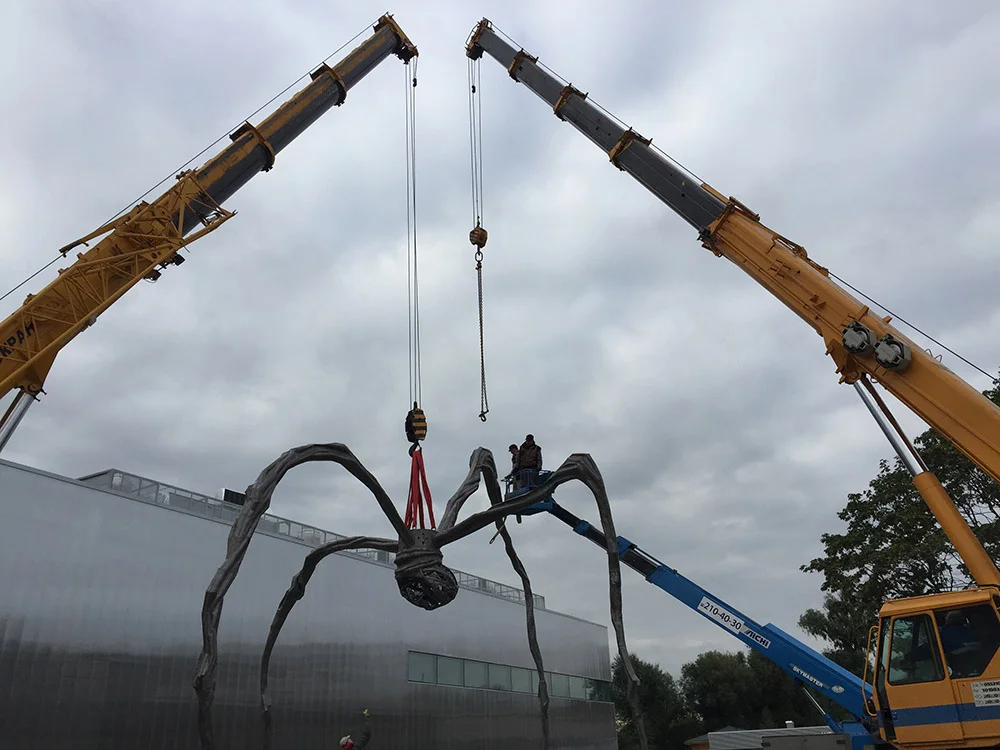 maman rigging.jpg