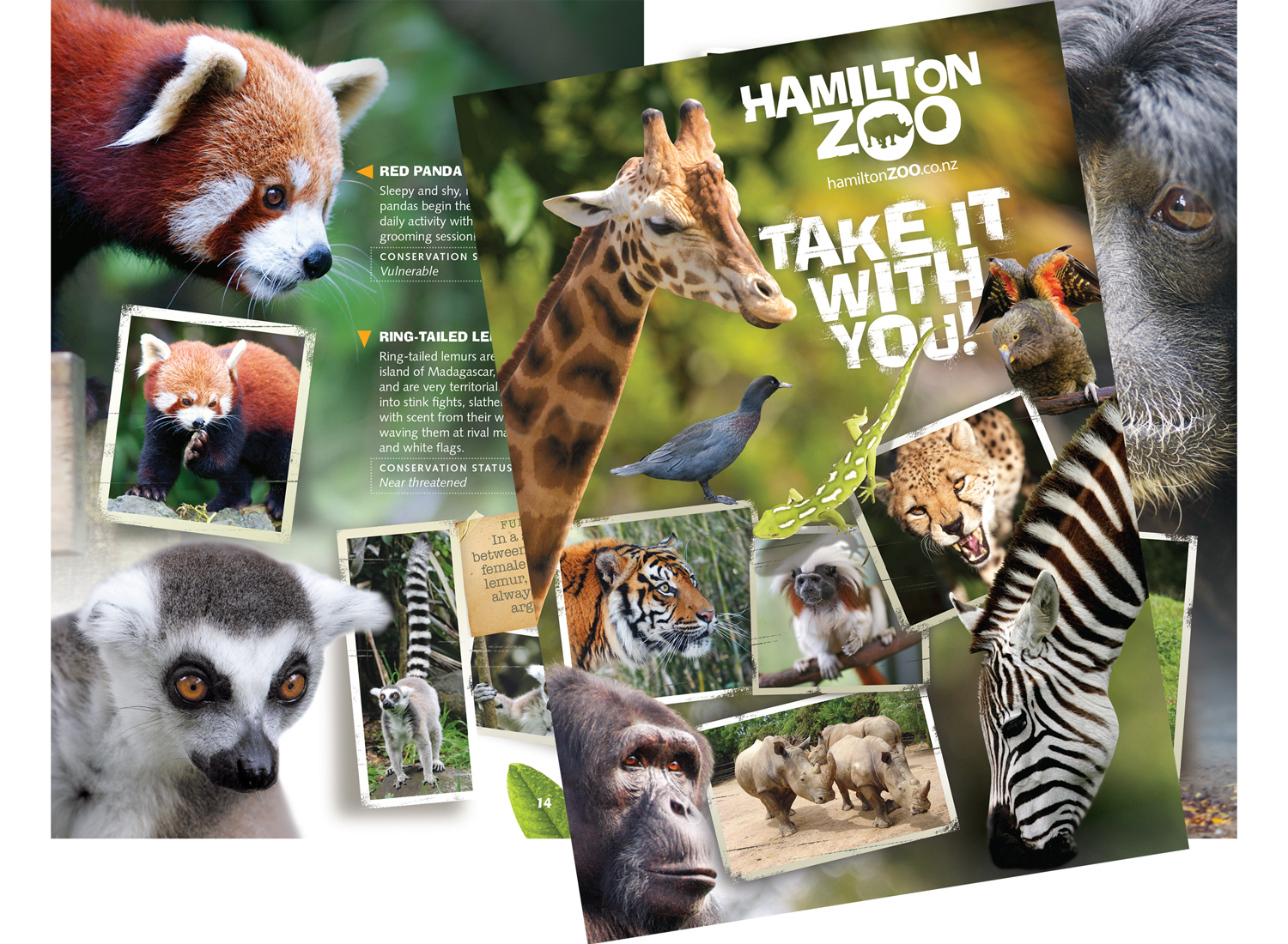  A5 zoo guide book 