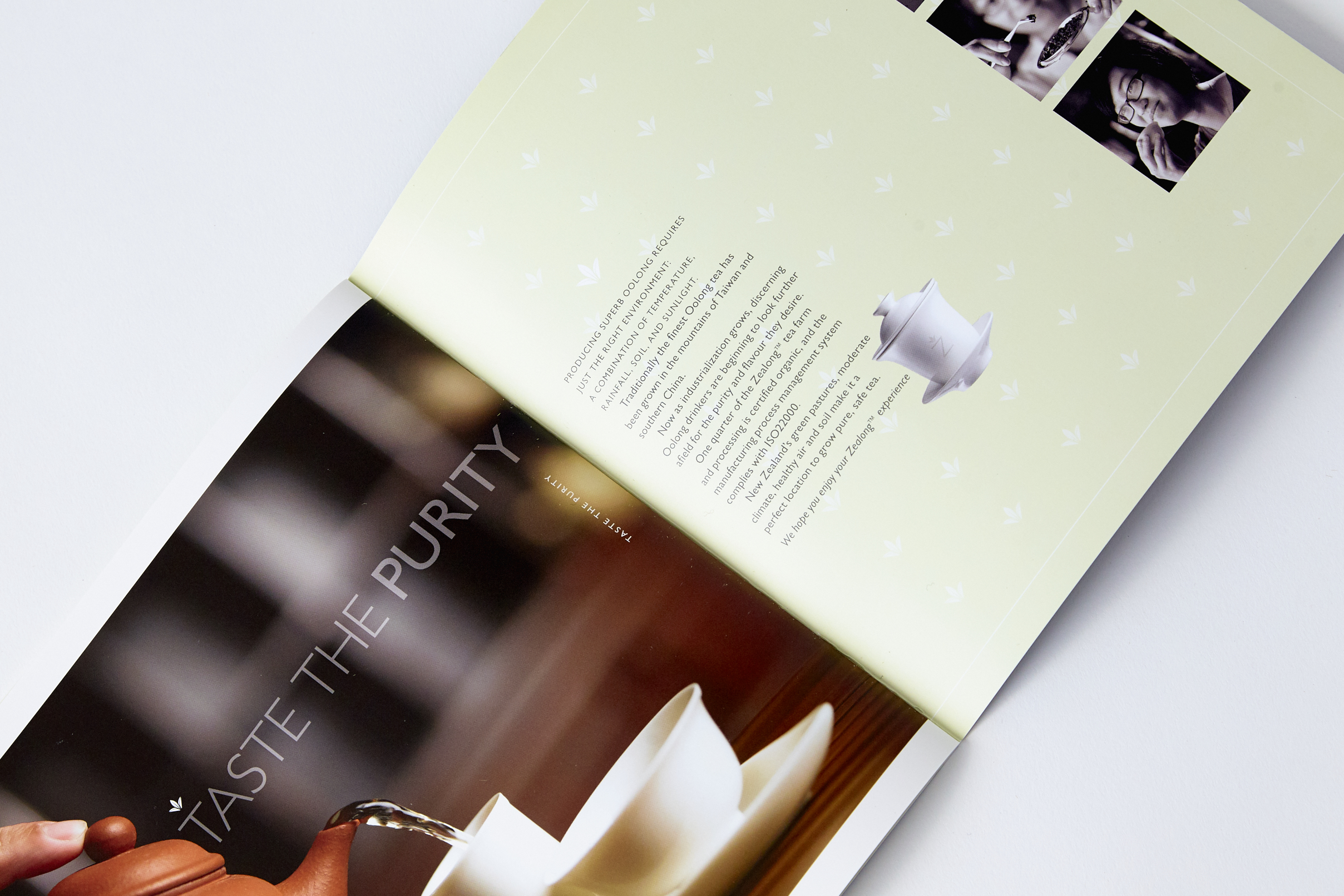  Corporate brochure for Oolong Tea company 