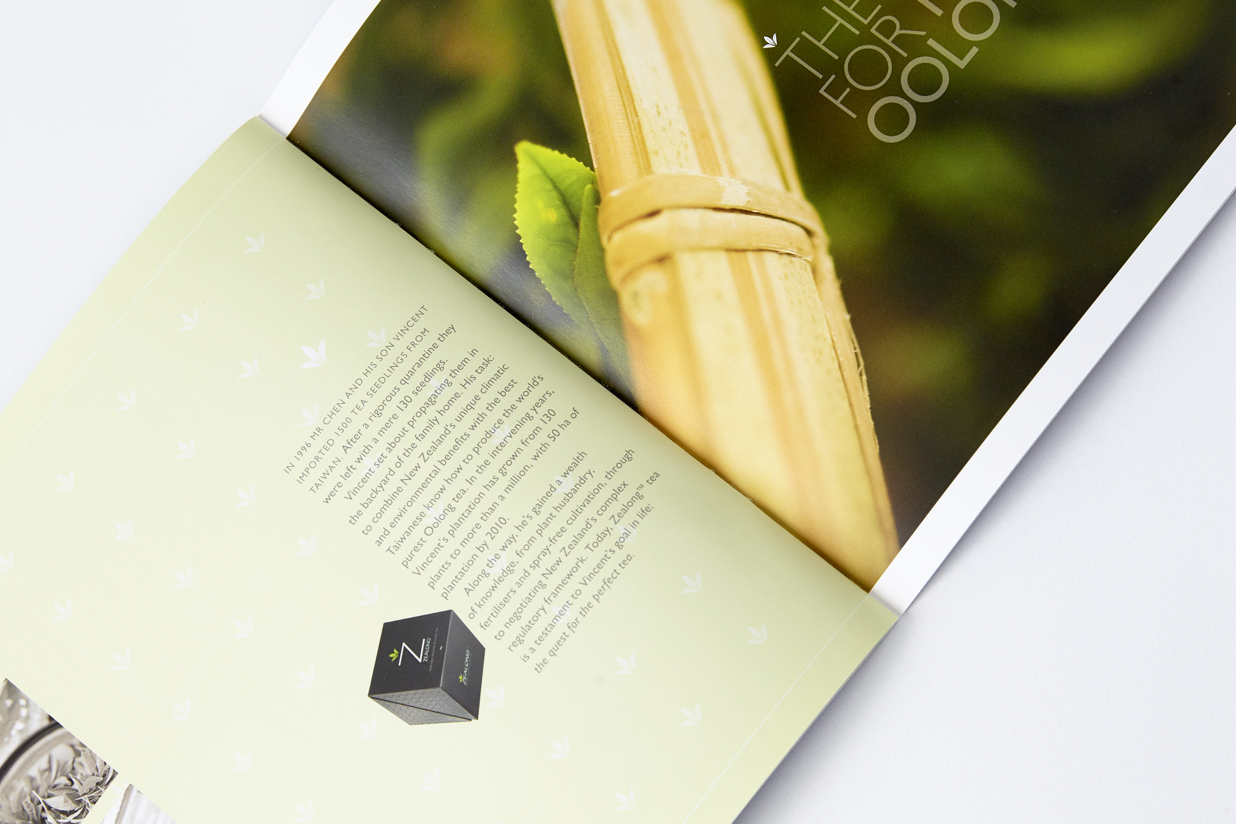  Corporate brochure for Oolong Tea company 