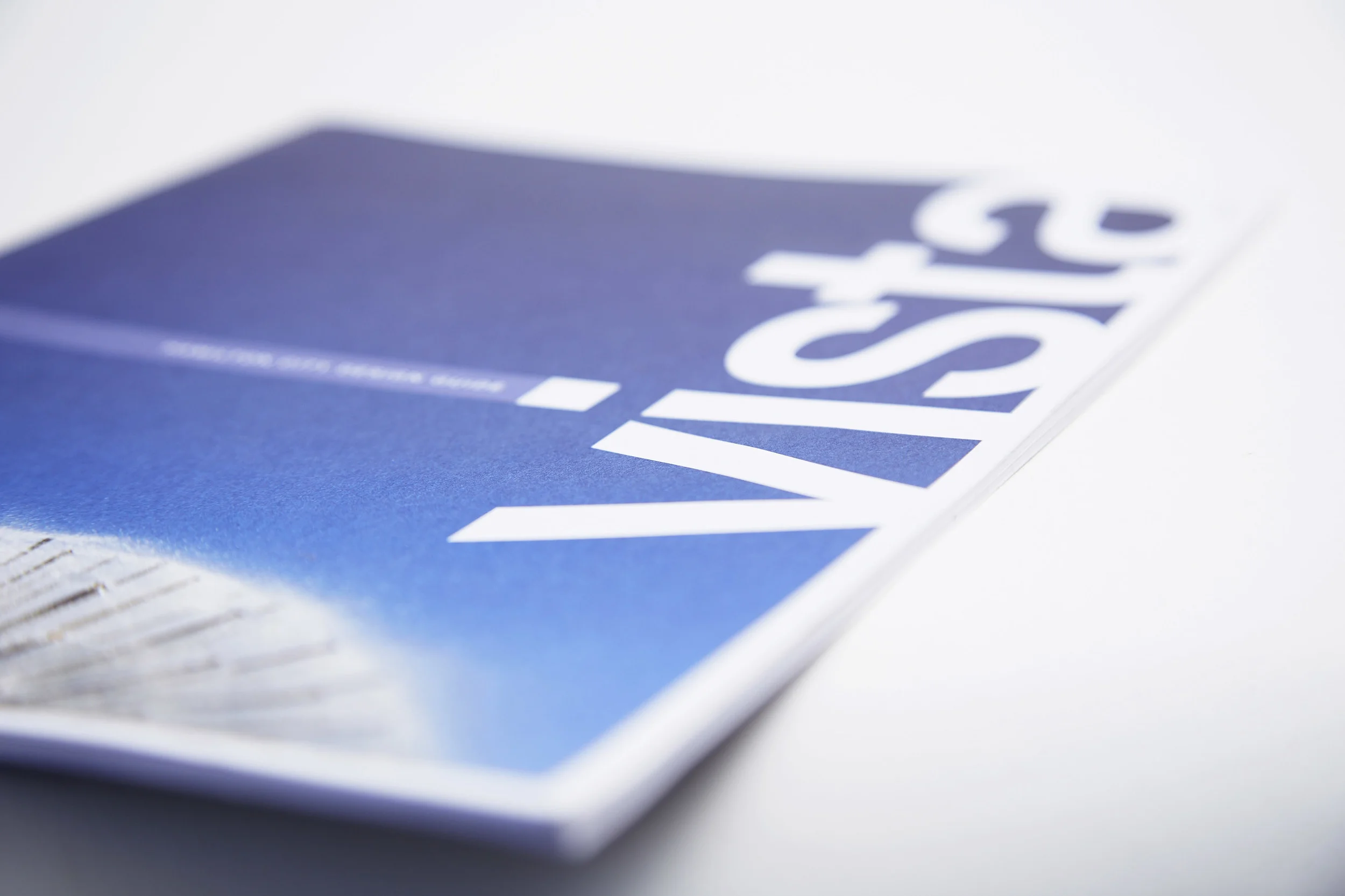 Vista brochure - The Hamilton City design guide