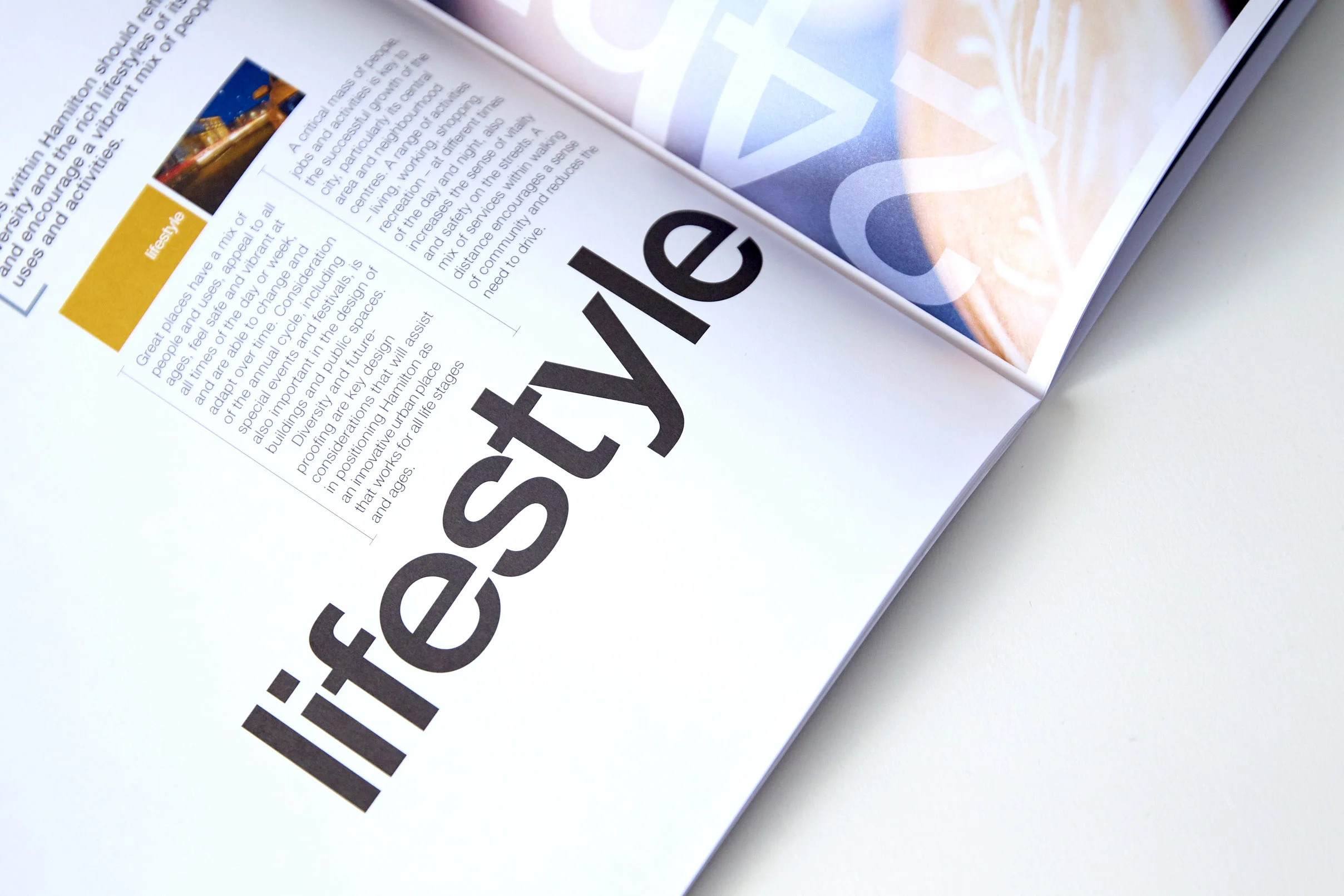 Vista brochure - The Hamilton City design guide