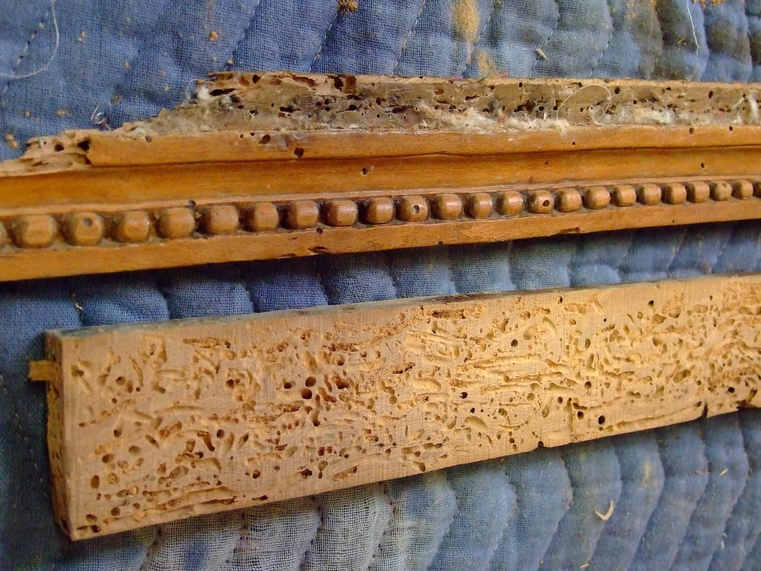 This shows the extent of damage to the rails. The piece above was sawn off so the I could glue it to a new rail later.