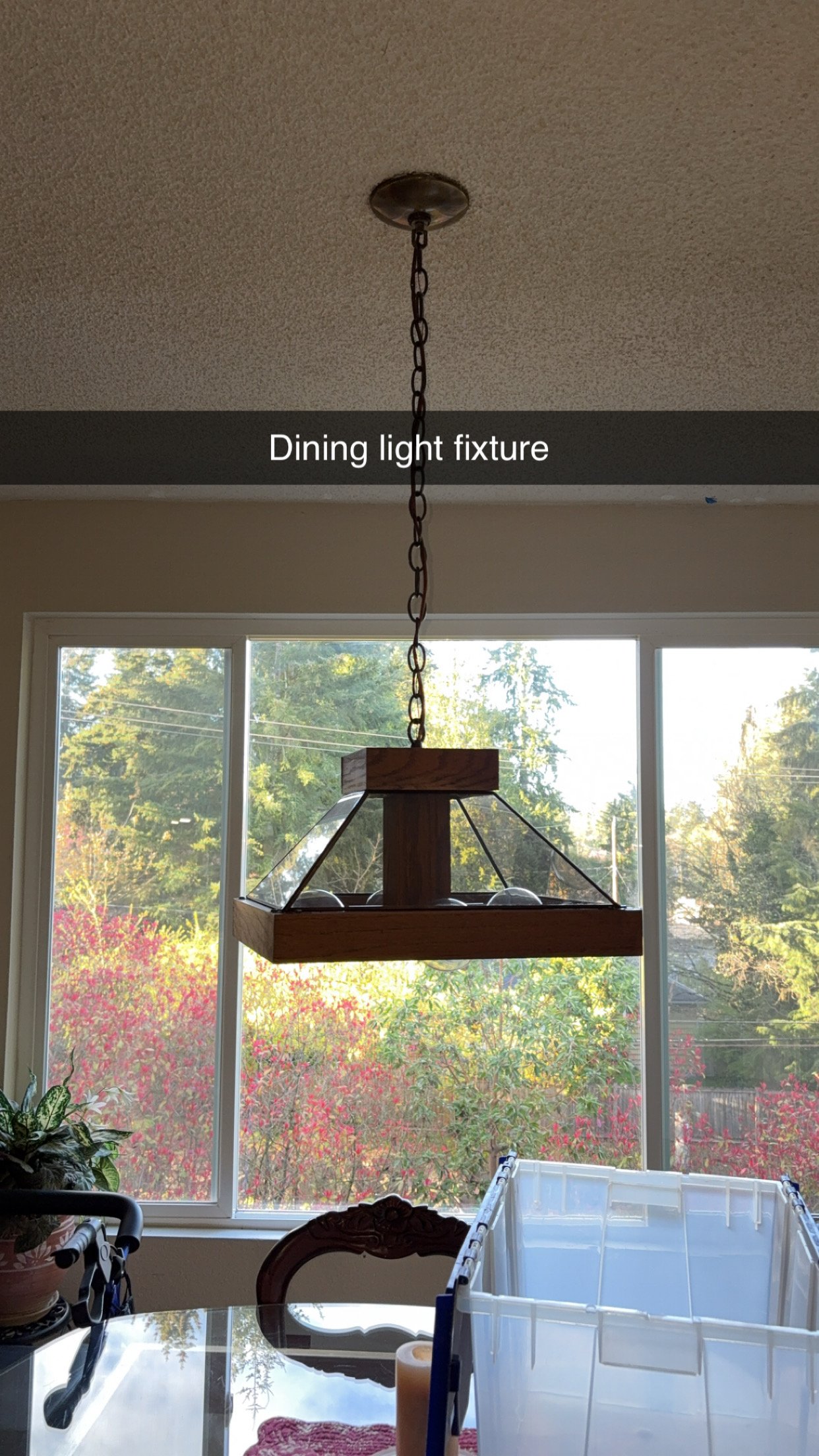 Photo Apr 11 2025, 7 26 19 AM (13).jpg