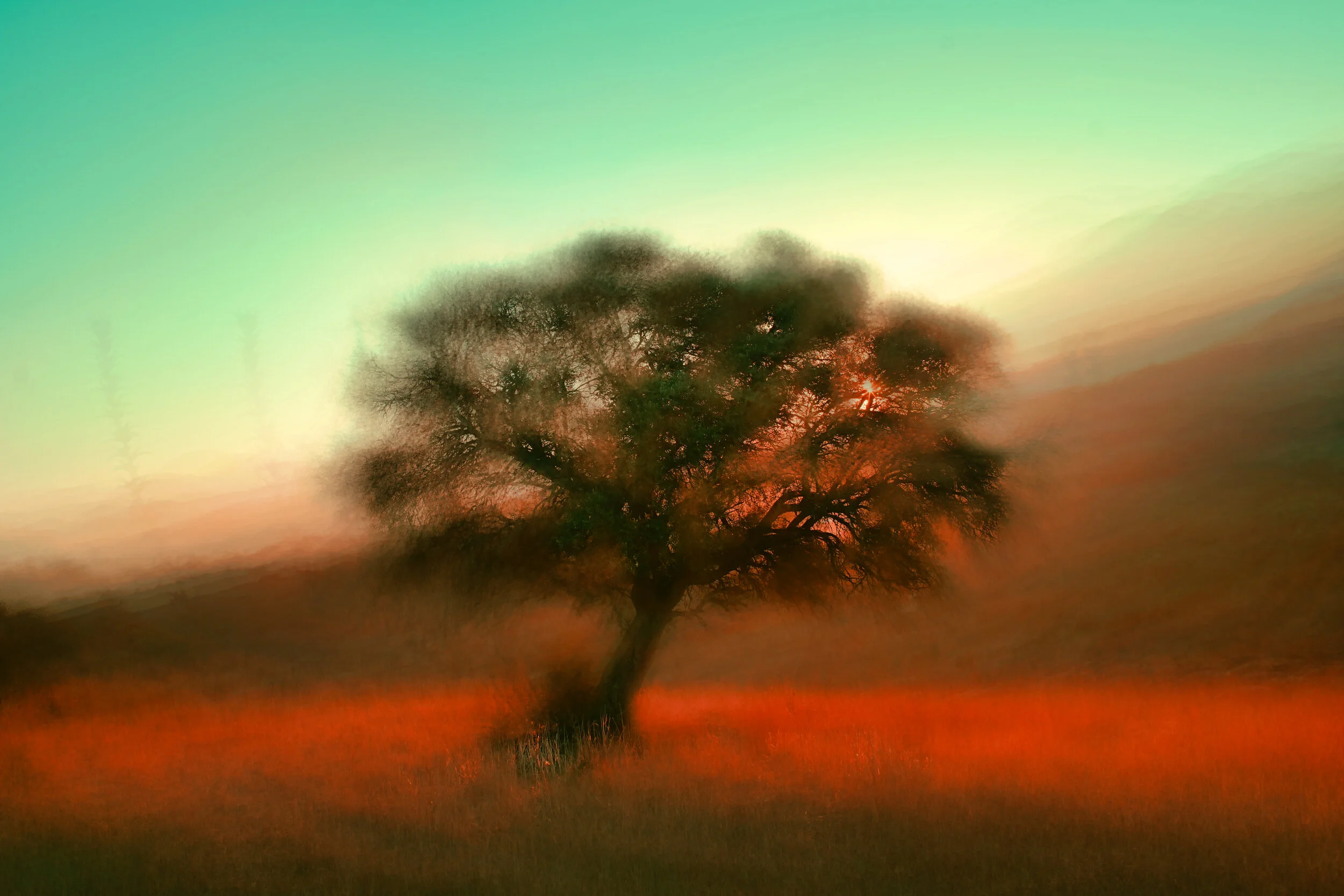 Mindfulness & Beyond