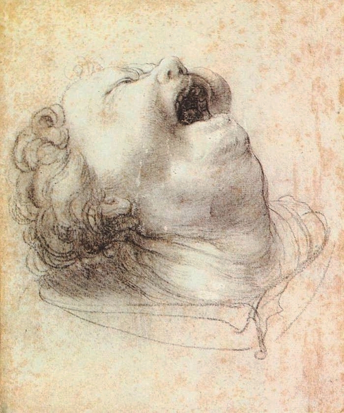 Matthias Grünewald, Head of a Shouting Man, 1520 Placements: MÃO | PEITO |