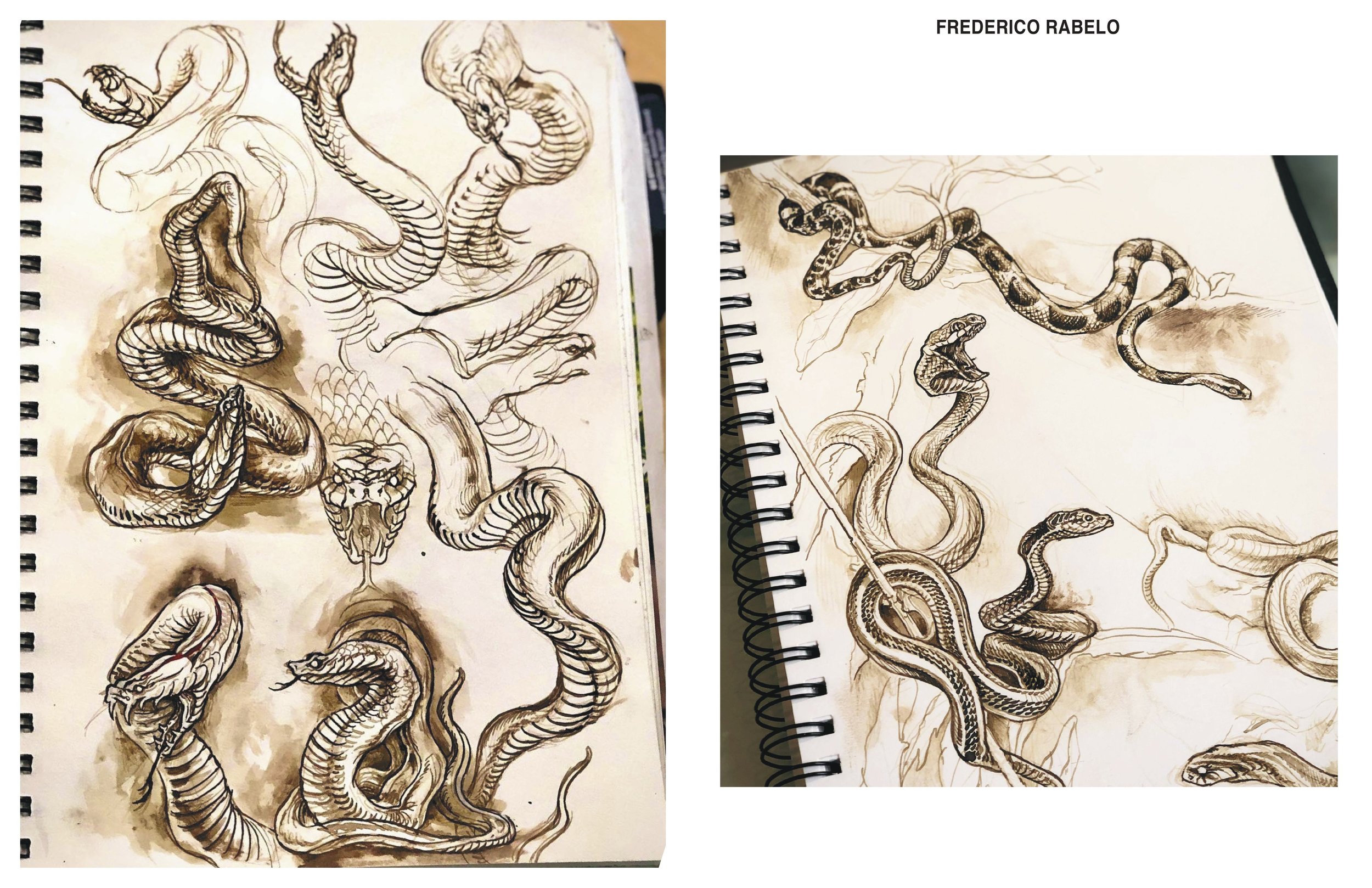 FRFlash-images-9.jpg