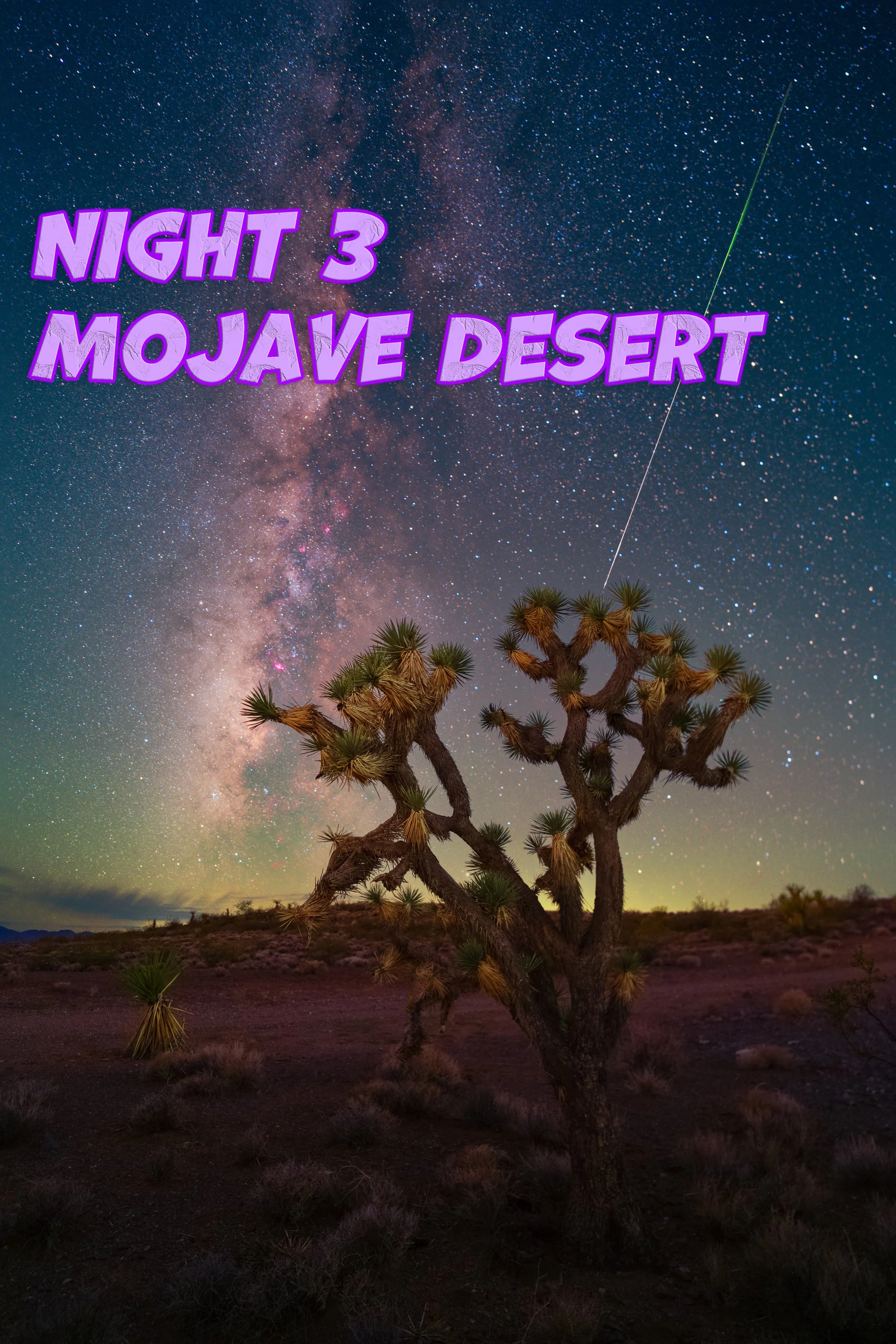 joshua tree mojave desert night 3.jpg