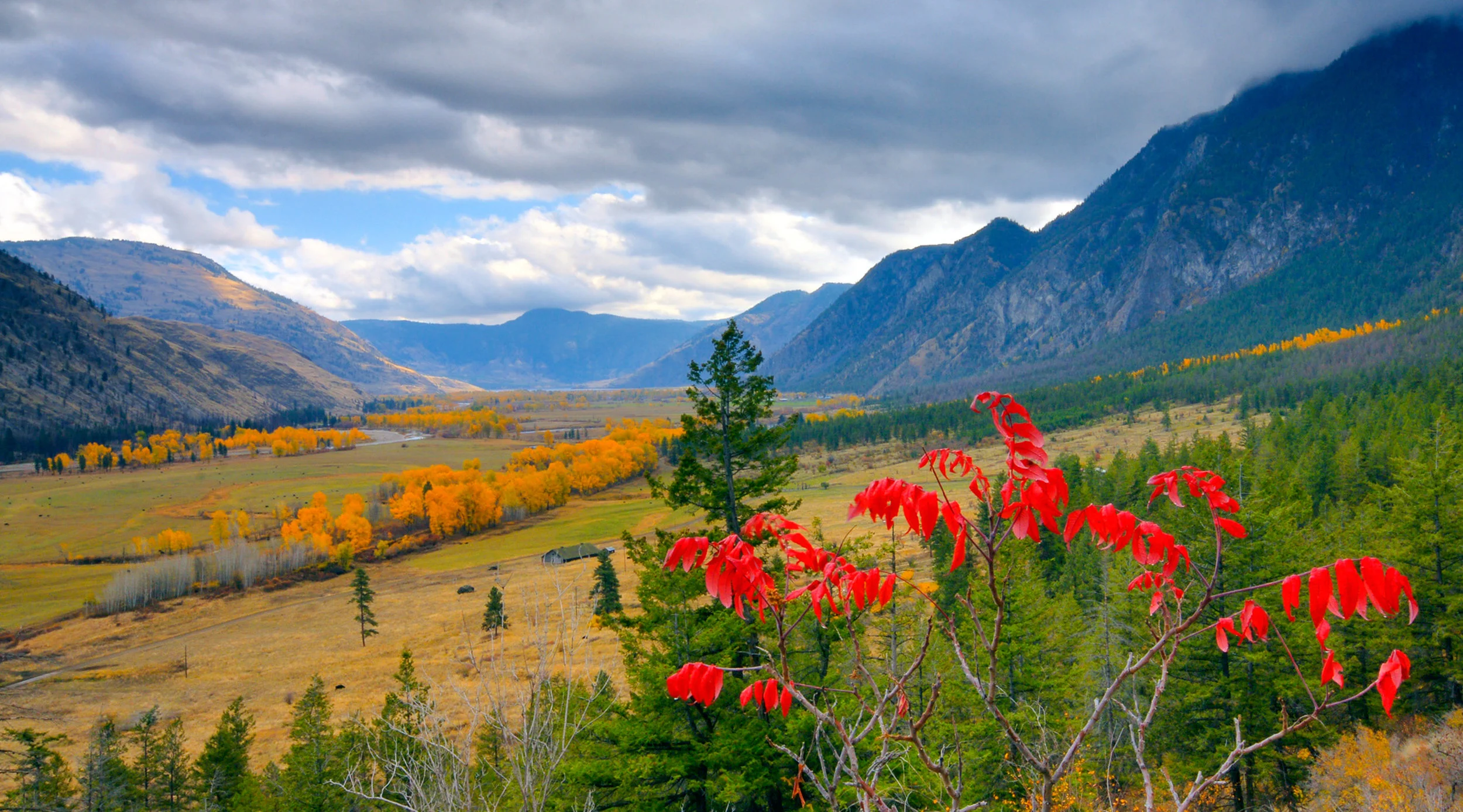 © Justin Haug, WDFW
