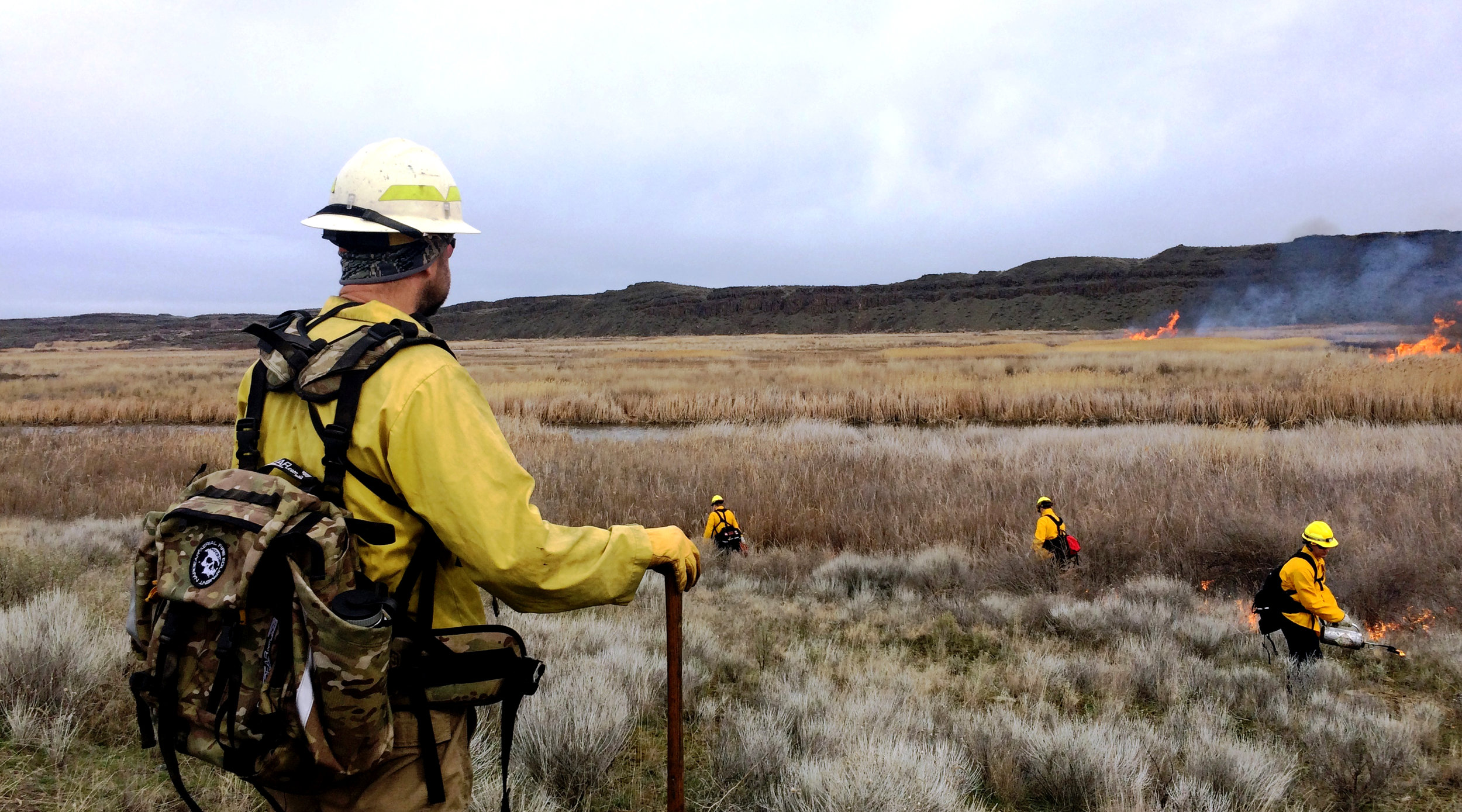 © Paul Hiebert, USFWS