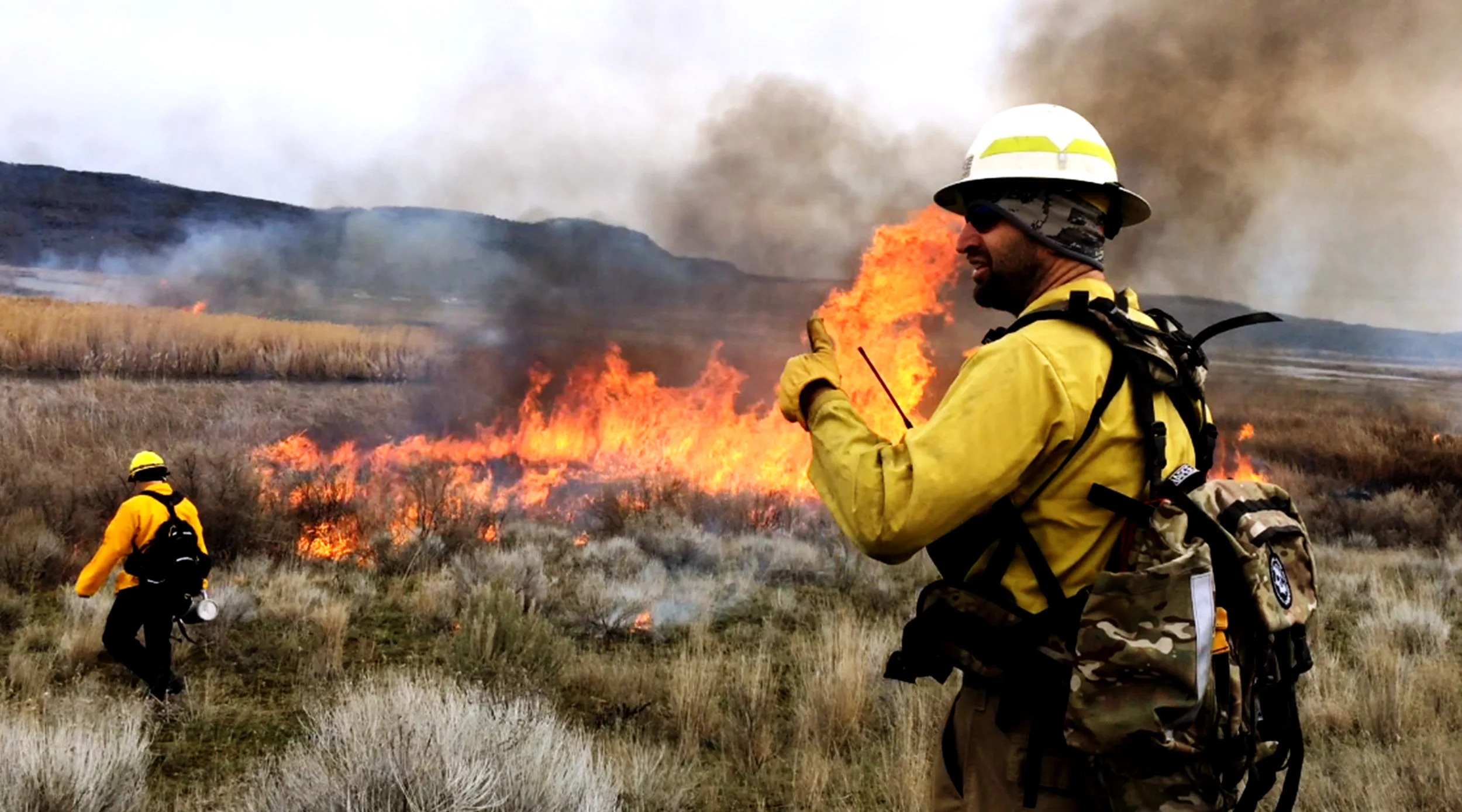 © Paul Hiebert, USFWS
