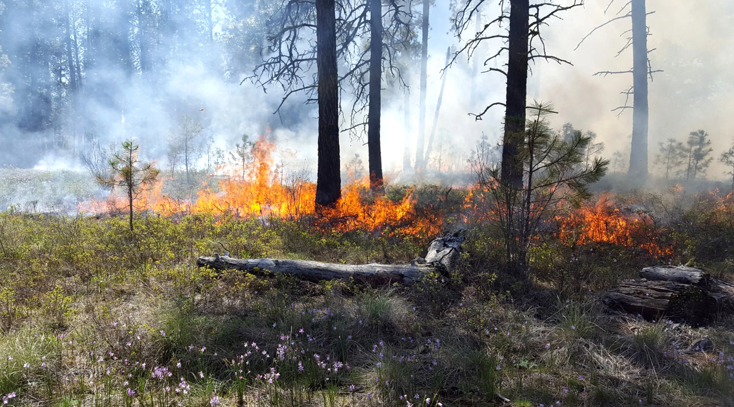 © USFWS Pacific Region