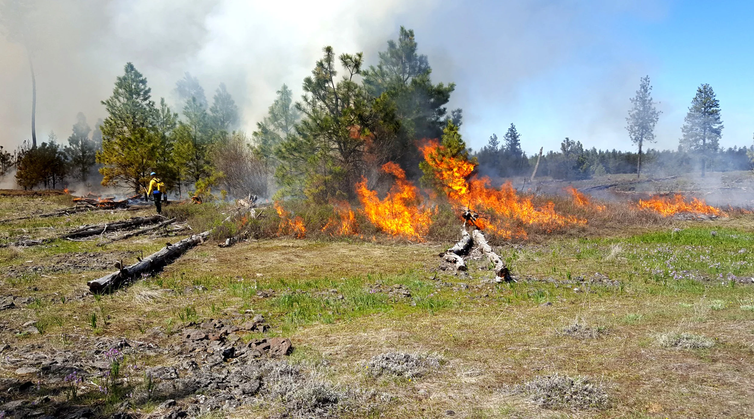 © USFWS Pacific Region