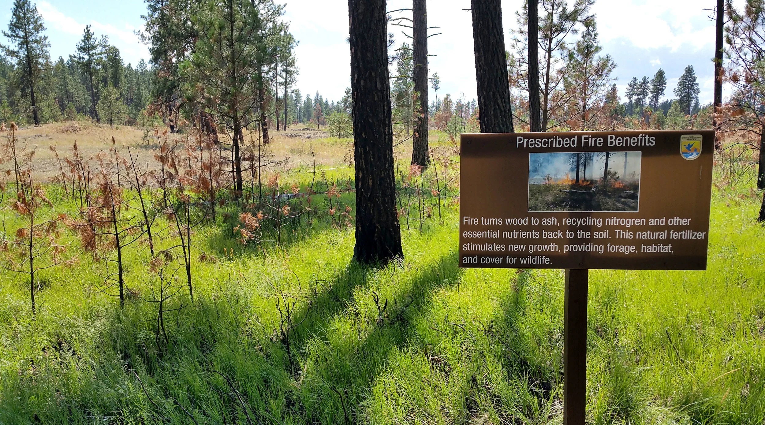 © USFWS Pacific Region
