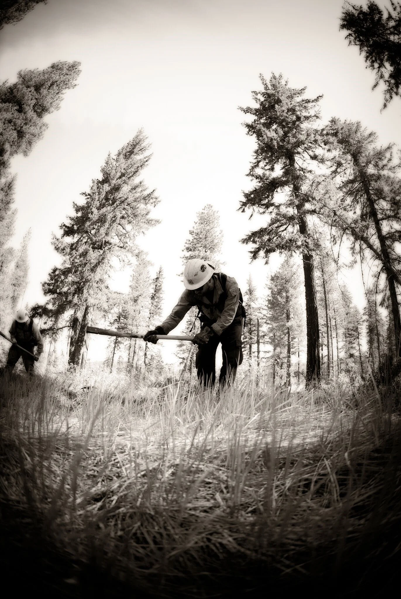 Cascadia Prescribed Fire Training Exchange (TREX)
