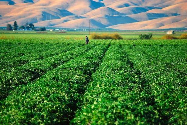 California and Washington D.C. Clash Over Immigration . . . What You Can Do To Make a Difference