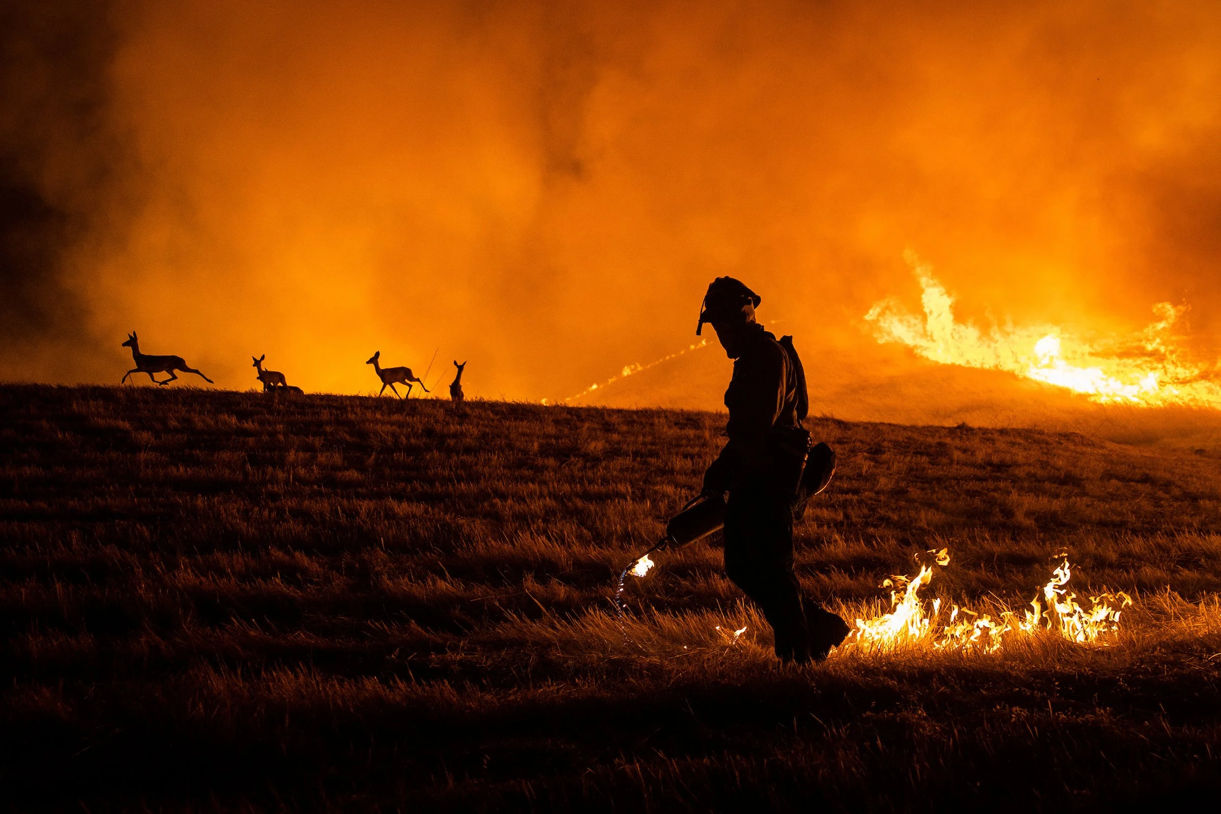 ENLIGHTENMENT: Photojournalist Max Whittaker on Covering News in California 