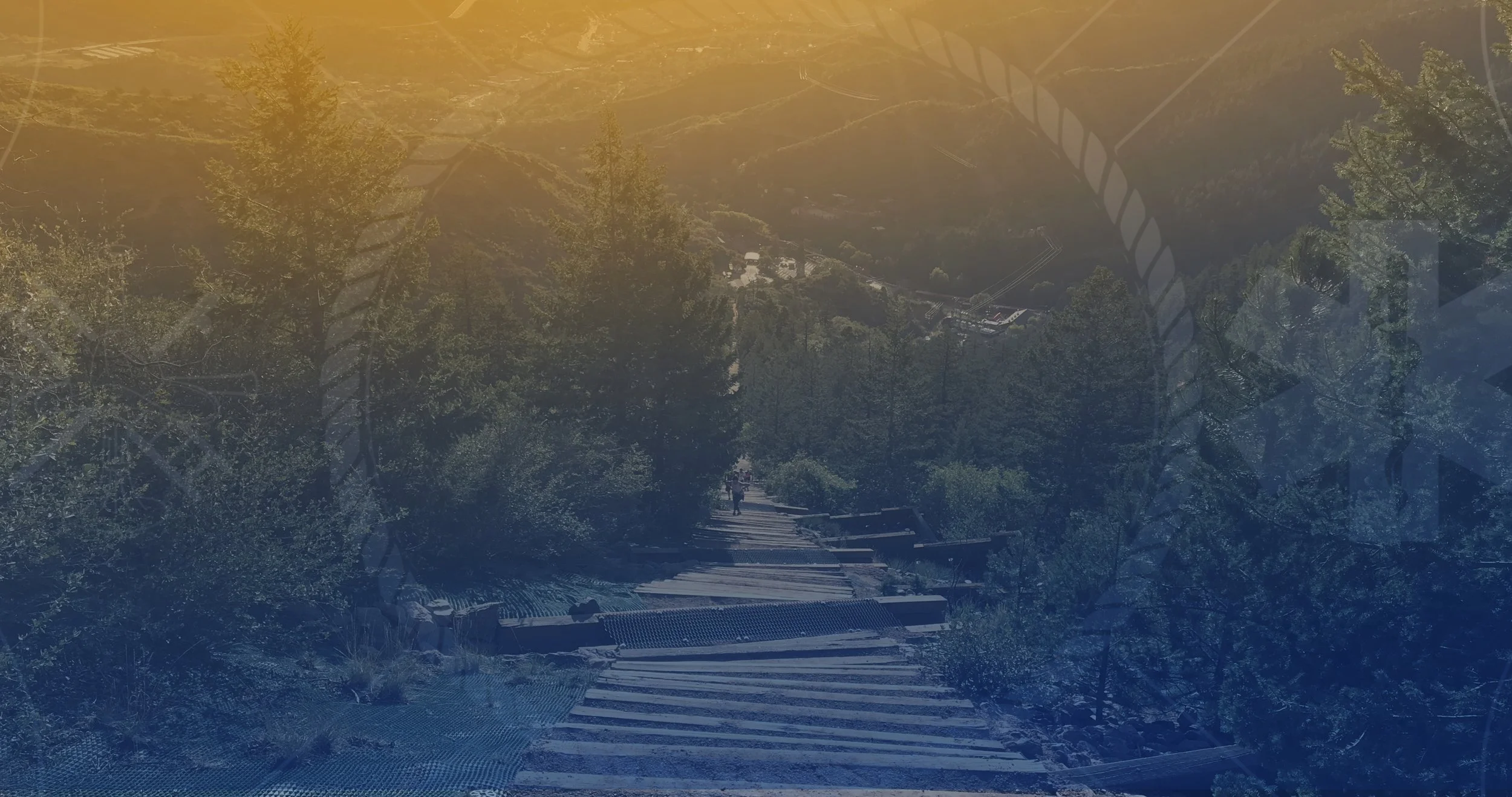 9-11 Memorial Climb - Web Header.jpg