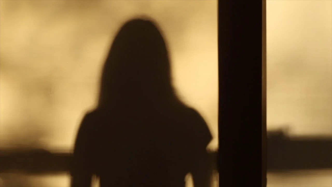 Shadow (11/20/2014, +49 ft, 40.6611°N, 73.9969°W)