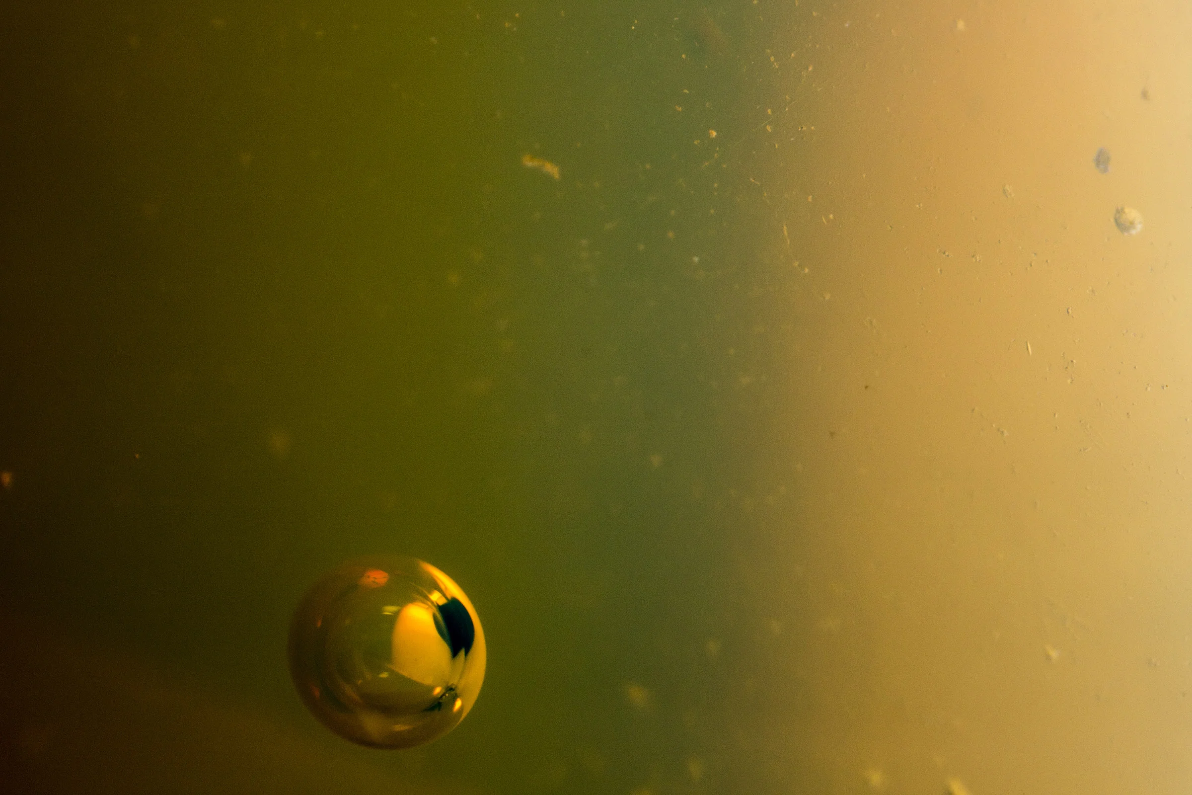 Floating #14