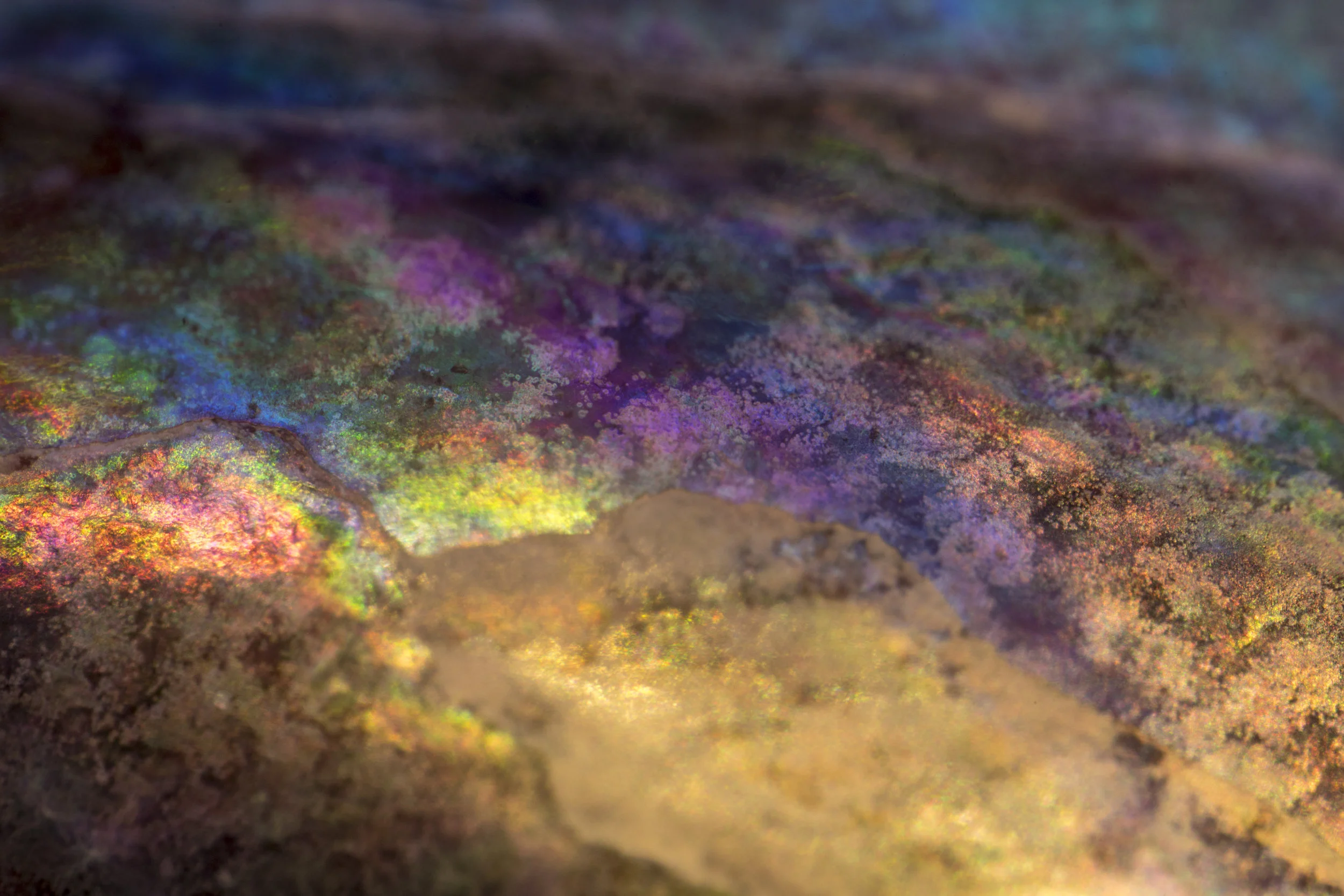 Iridescent #1