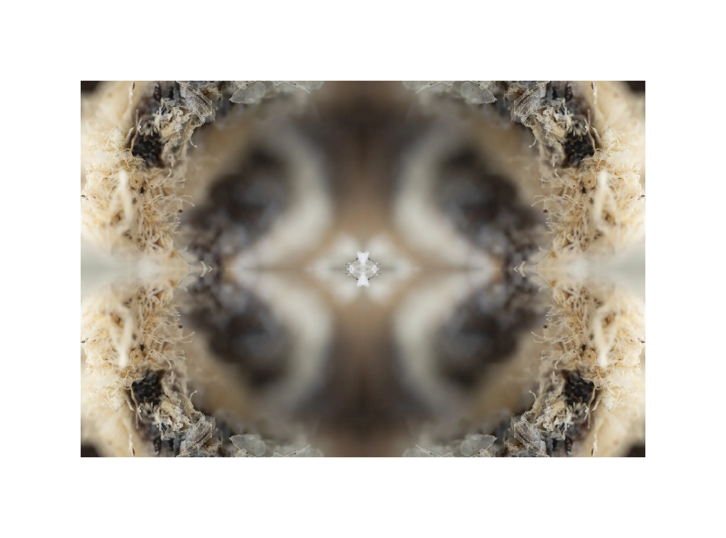 IMG_8556(small with borders).jpg