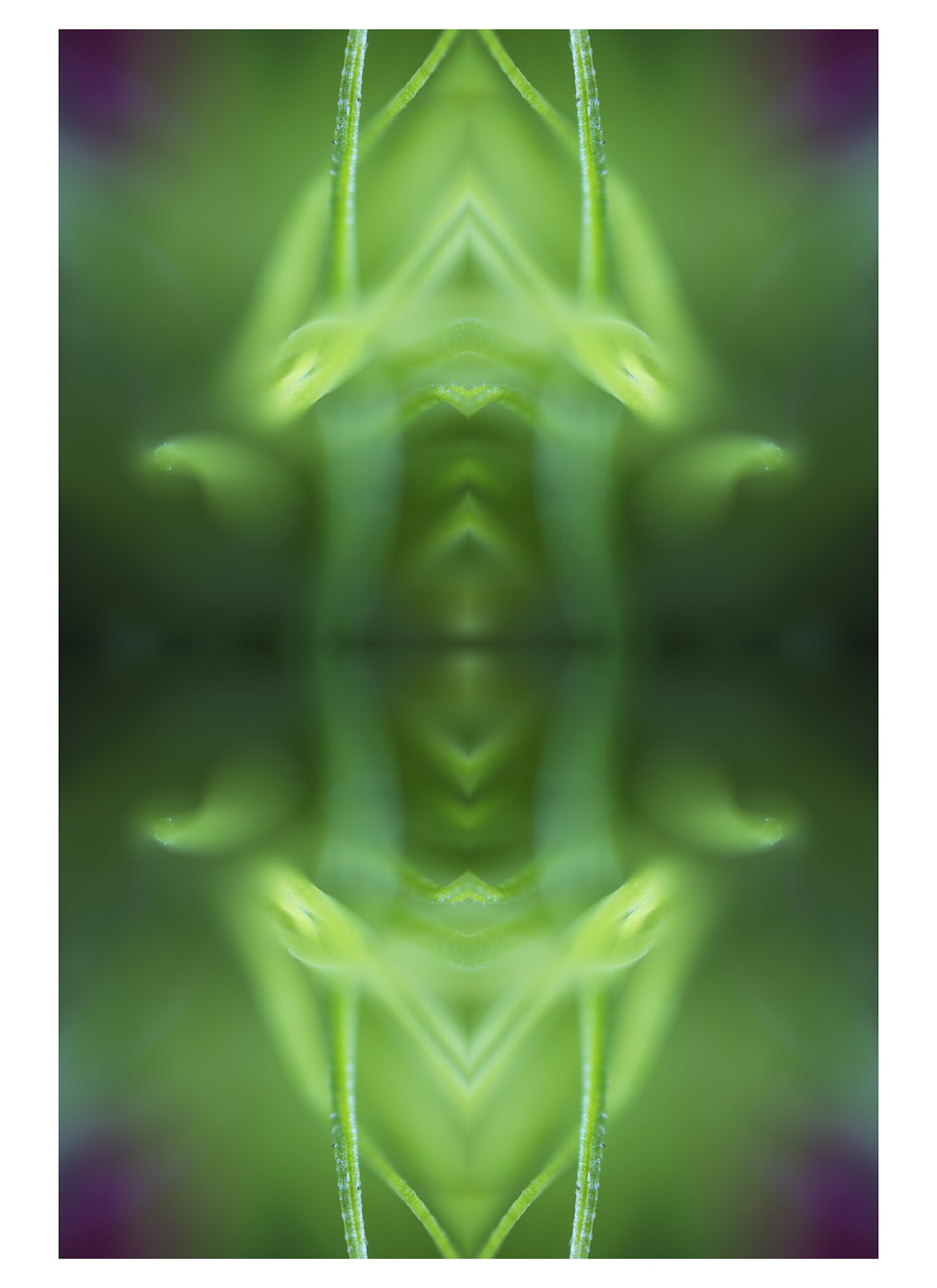 Coming into Presence: The Return -  Art by Melissa Jessell at Wild Geese Gallery