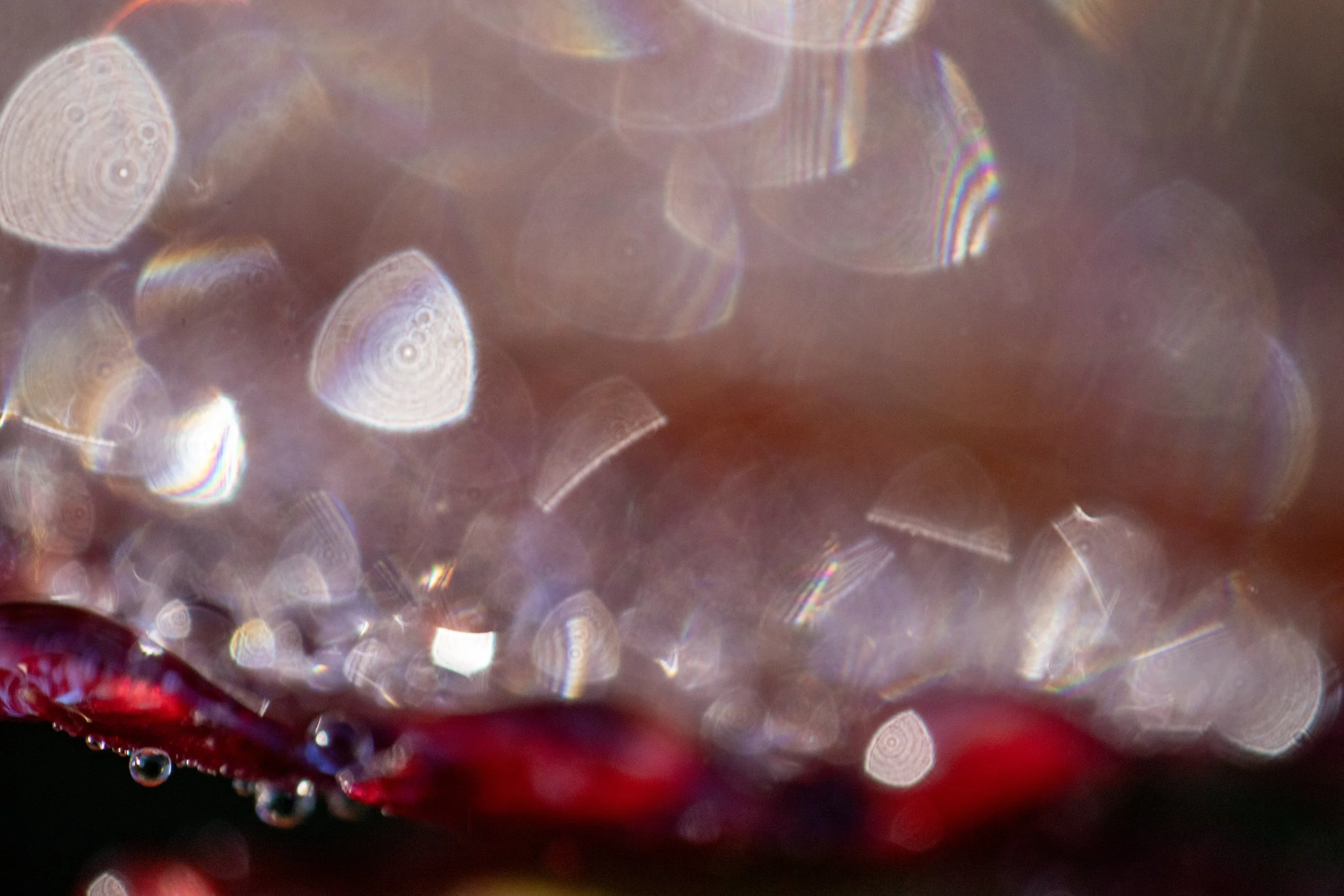 IMG_7724 copy 2small.jpg