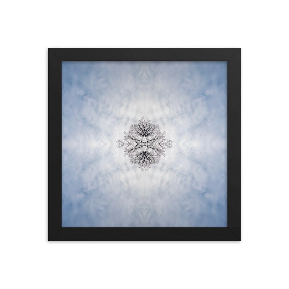 enhanced-matte-paper-framed-poster-(in)-black-10x10-transparent-65af1a9677e92.jpg