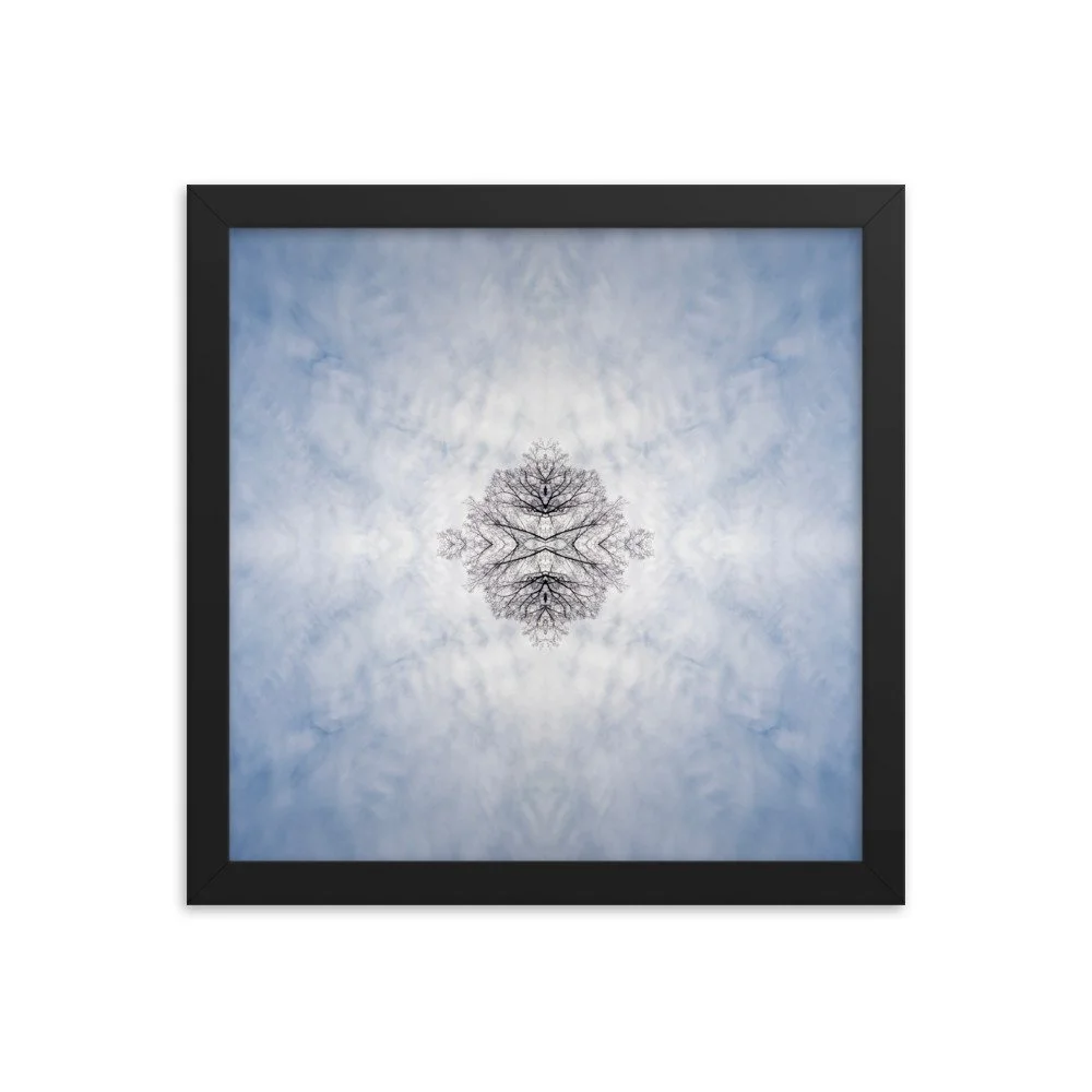 enhanced-matte-paper-framed-poster-(in)-black-12x12-transparent-65af1a9677f25.jpg