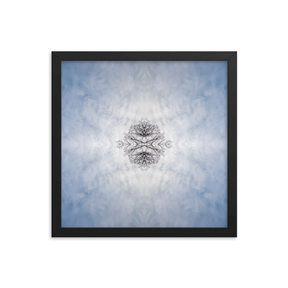 enhanced-matte-paper-framed-poster-(in)-black-14x14-transparent-65af1a9678133.jpg