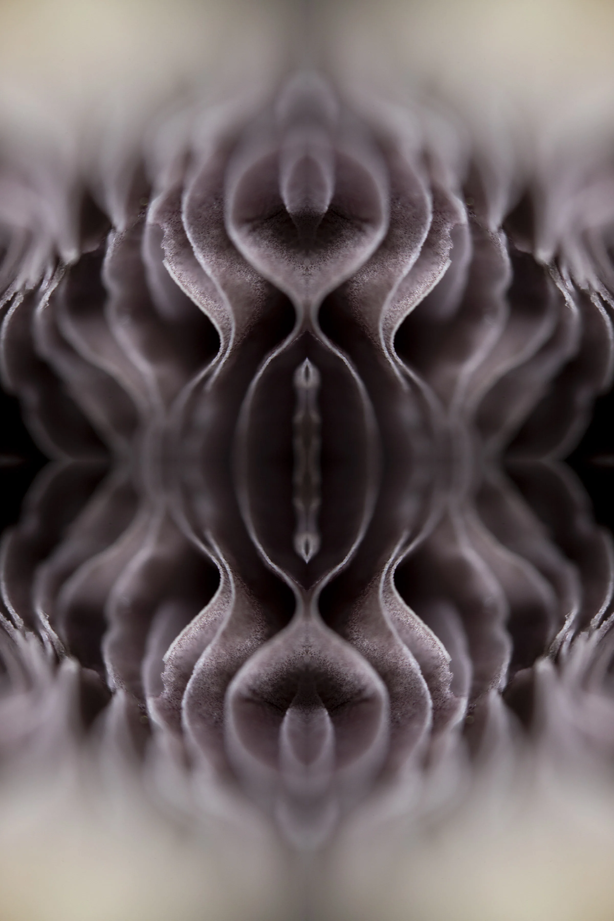 IMG_1749(no border for site).jpg