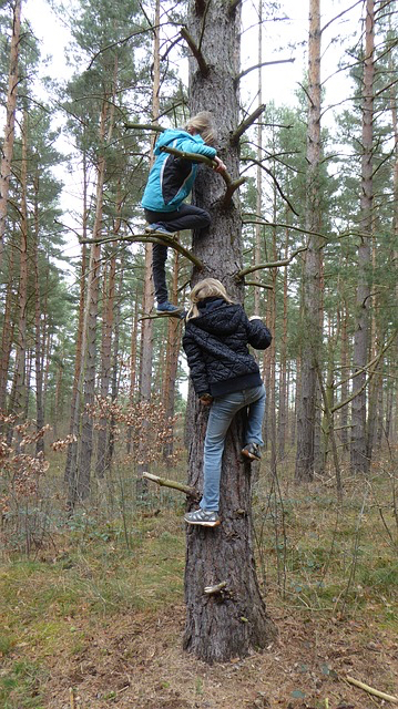 Children climbing tree - grat 640.jpg