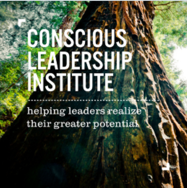 The Conscious Leadership Institute creates empowering learning journeys for executives to lead with awareness of one’s self, the world, and one’s purpose within it. Our goal is to assist leaders to address modern challenges with new and sustainable solutions. We work with leaders and their organizations to kindle their source of energy and passion, articulate their sense of purpose, build agility, contribute to a sustainable future, and develop a path in realization of their greater potential.