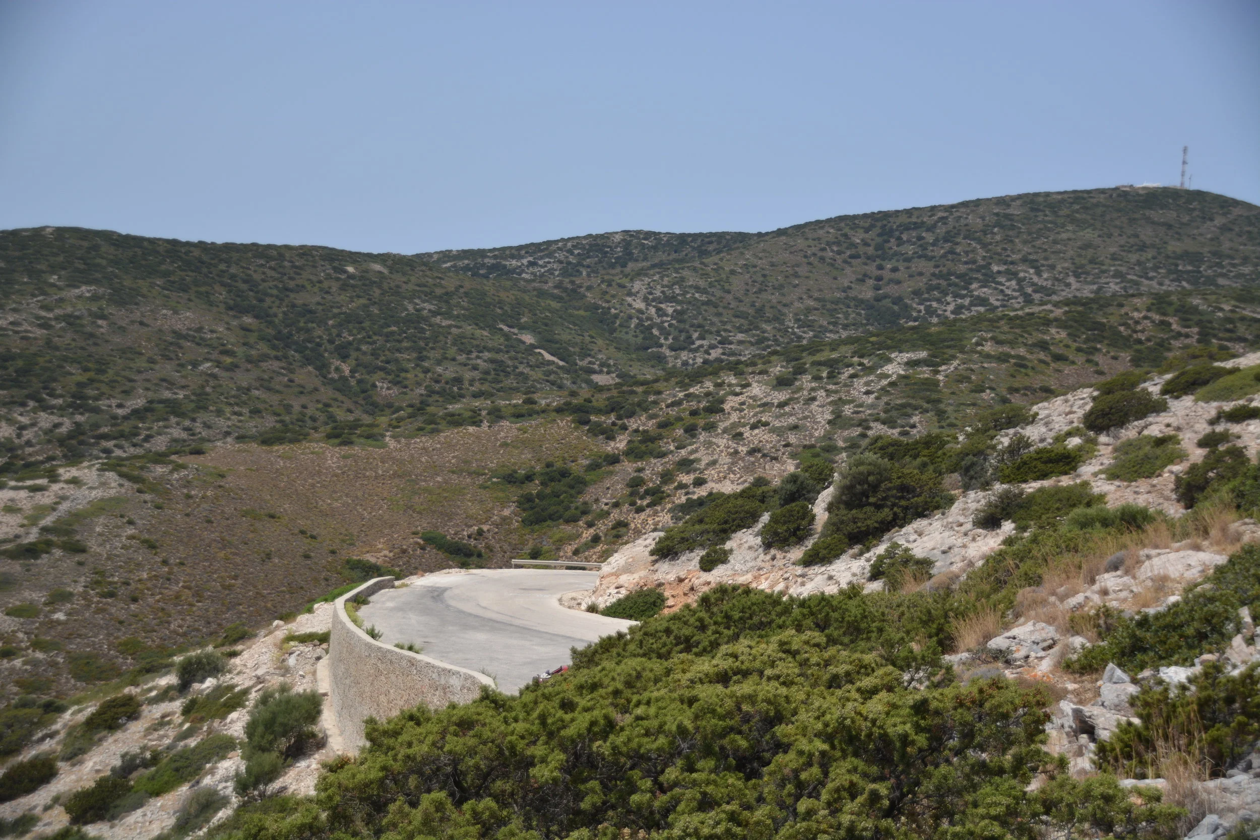 DSC_0209.JPG