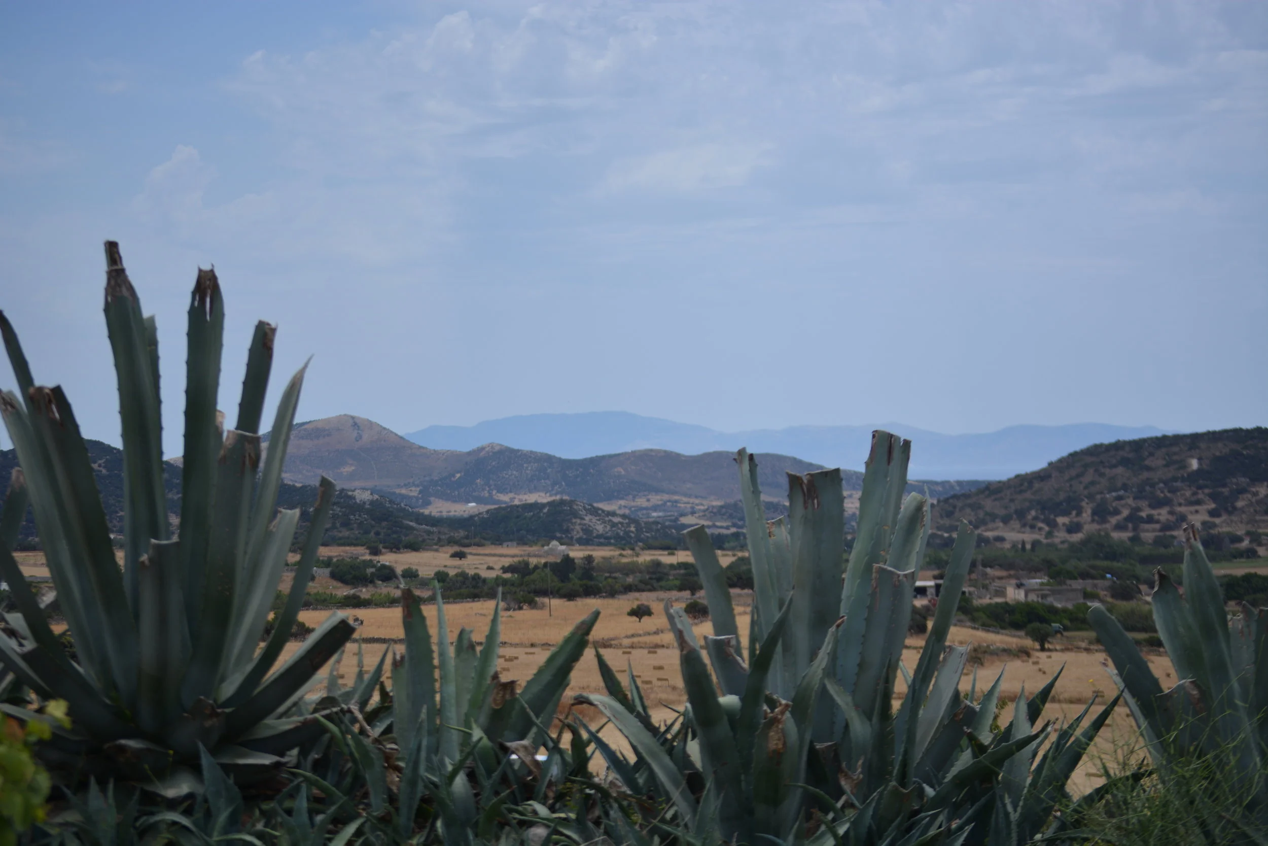 DSC_0025.JPG