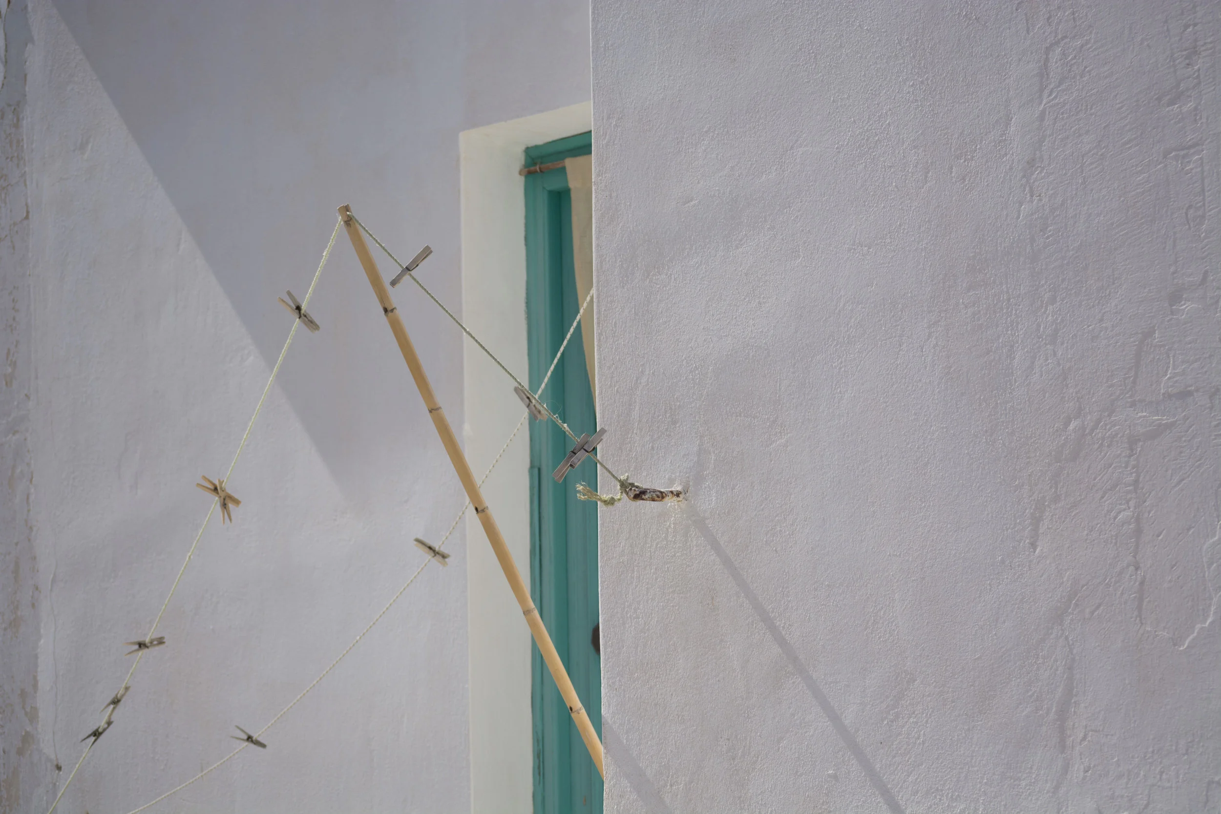 DSC_0184.jpg