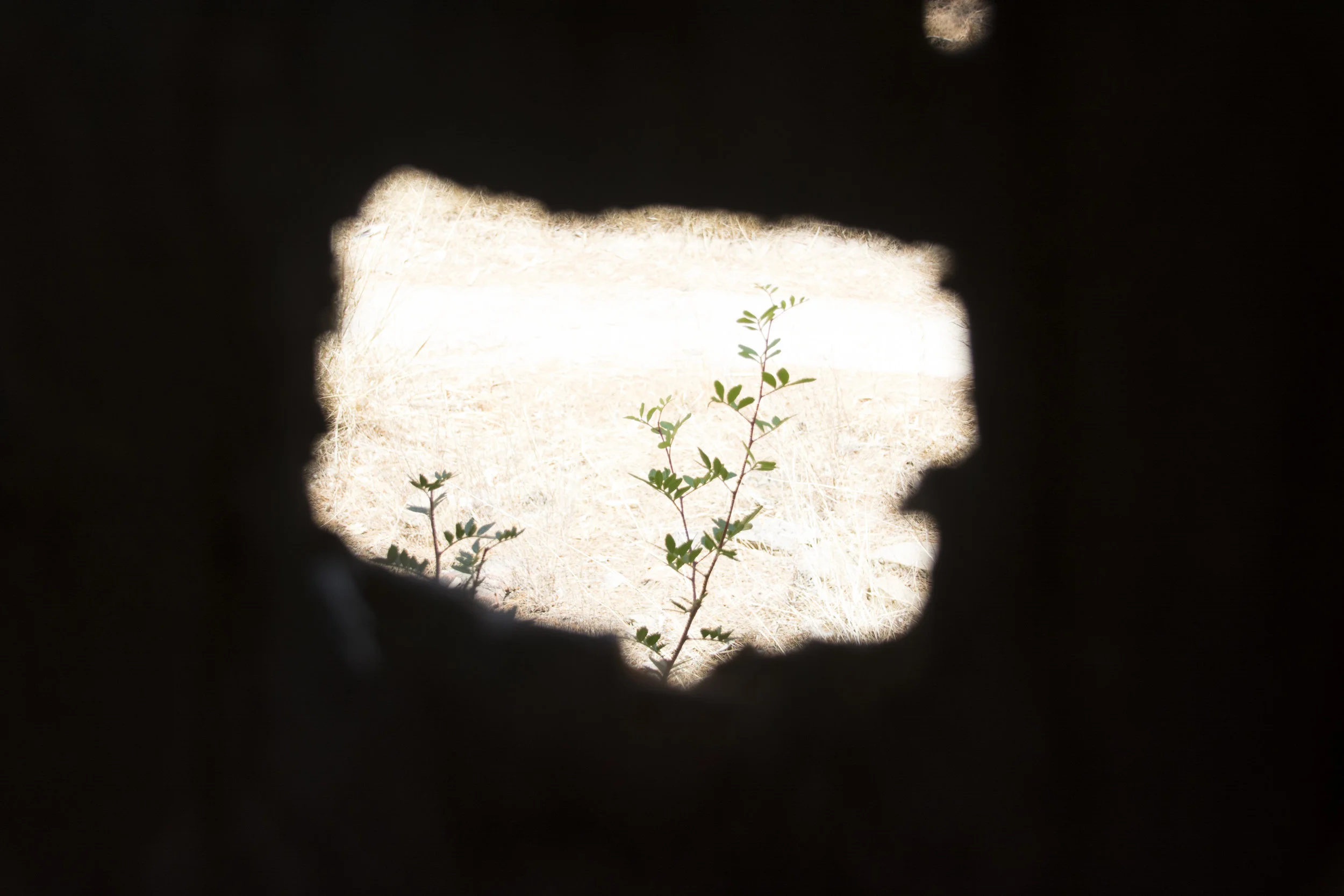 DSC_0320.jpg