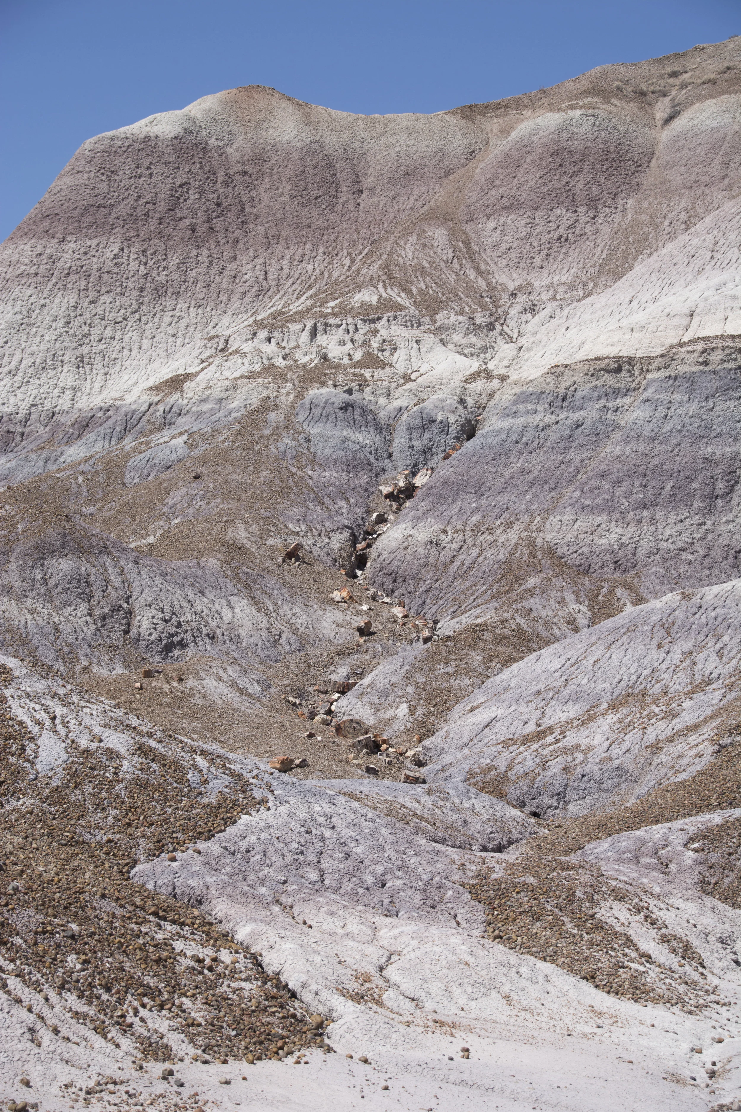 DSC_0560.jpg