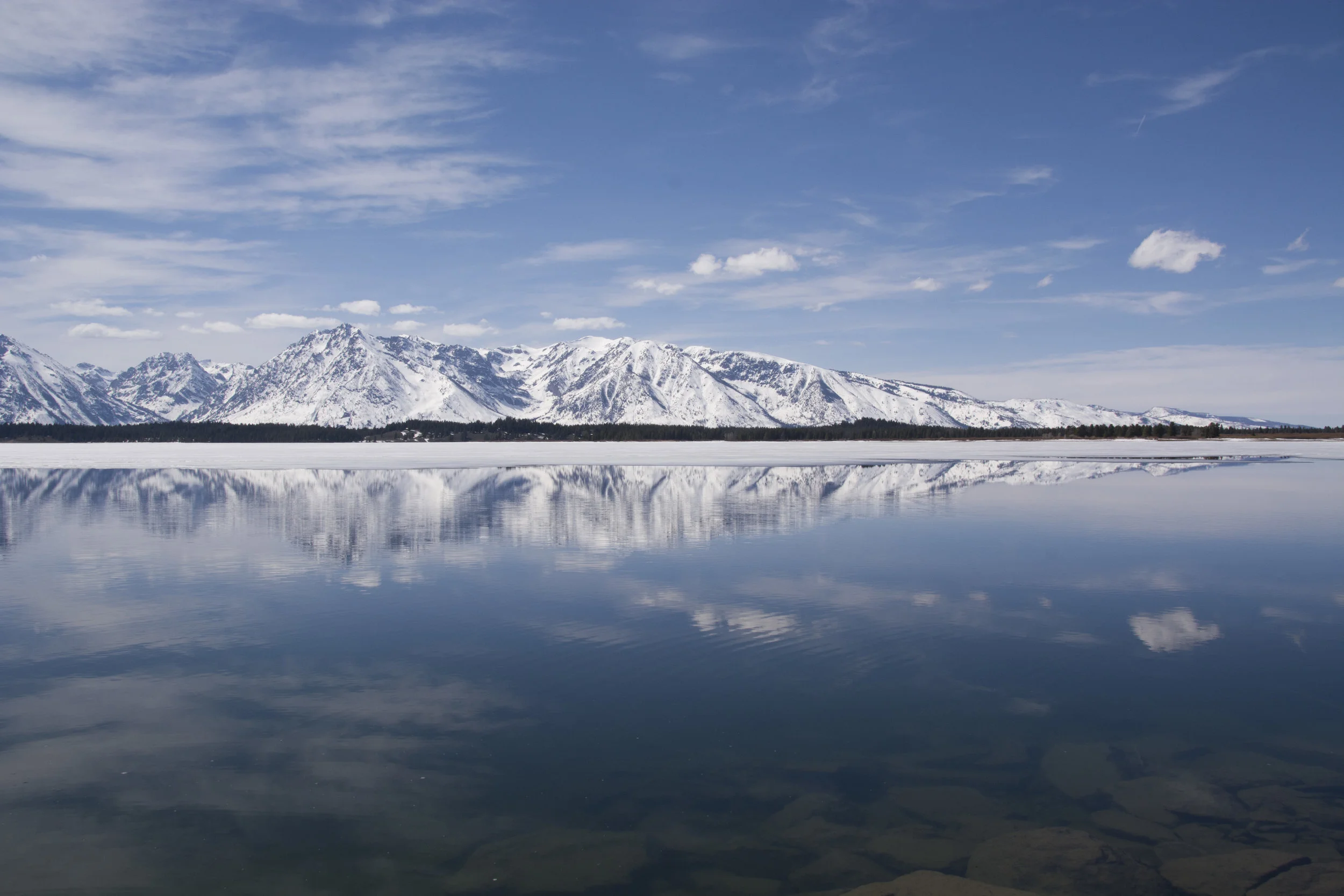 DSC_0141.jpg