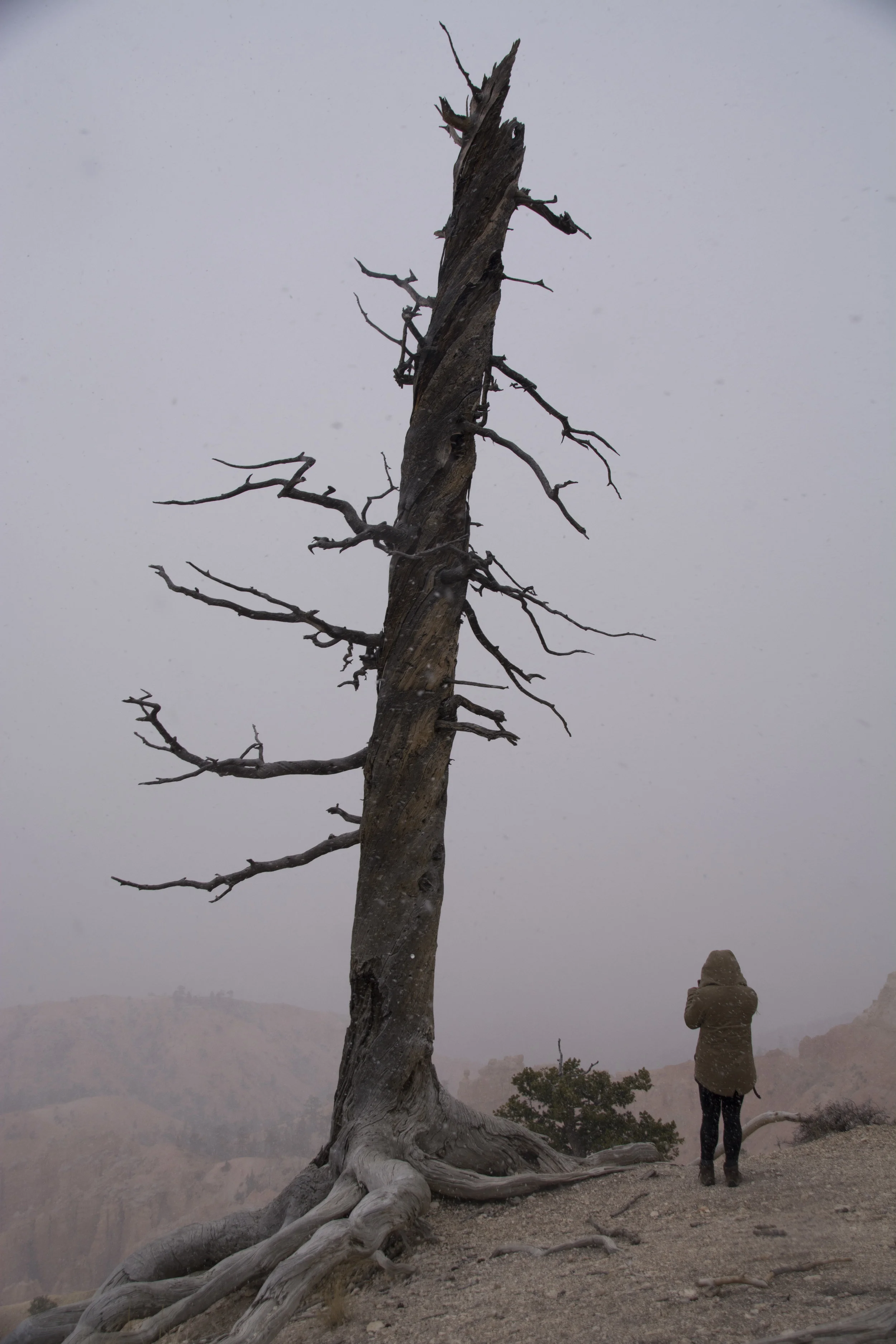 DSC_0230.jpg