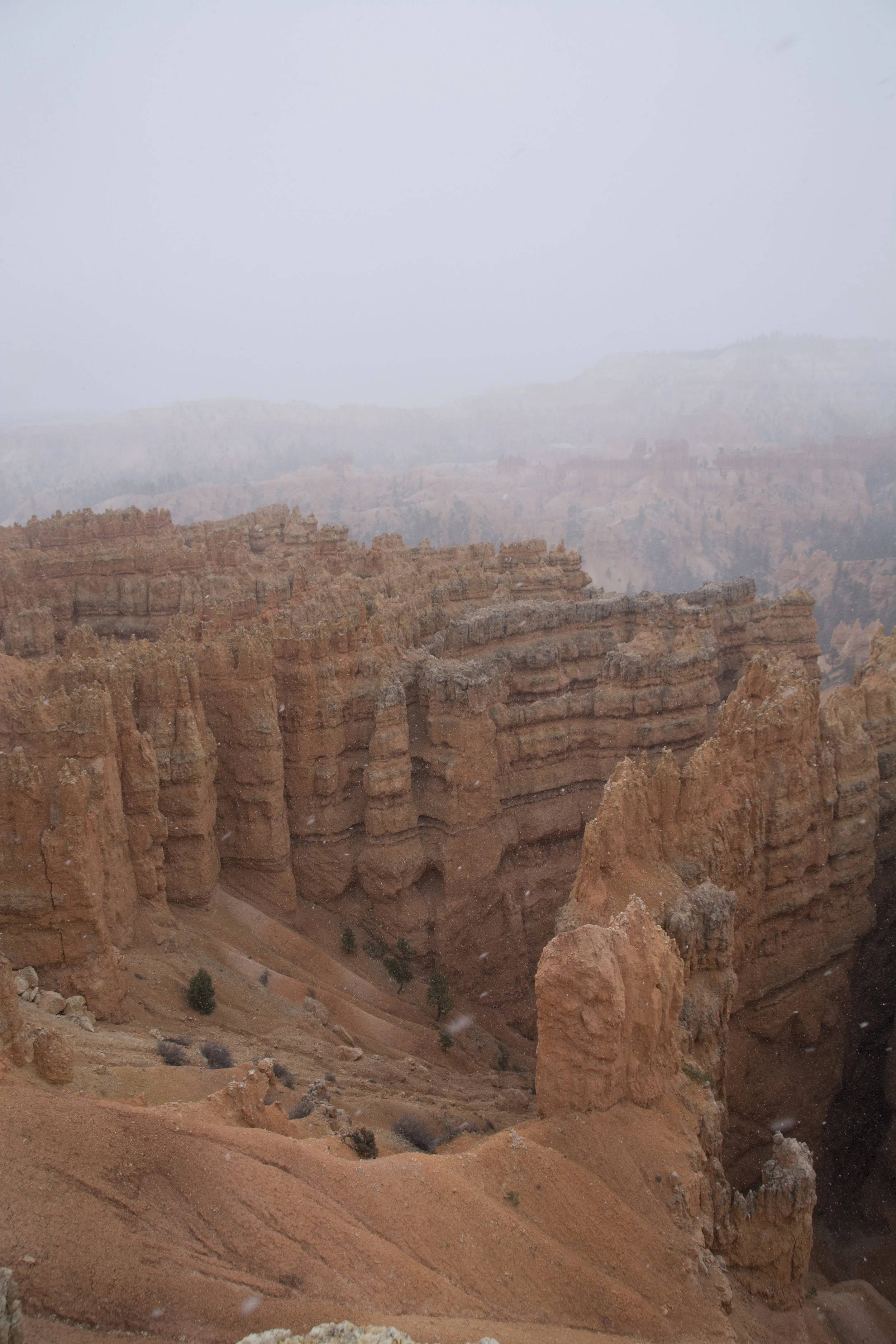 DSC_0268.jpg