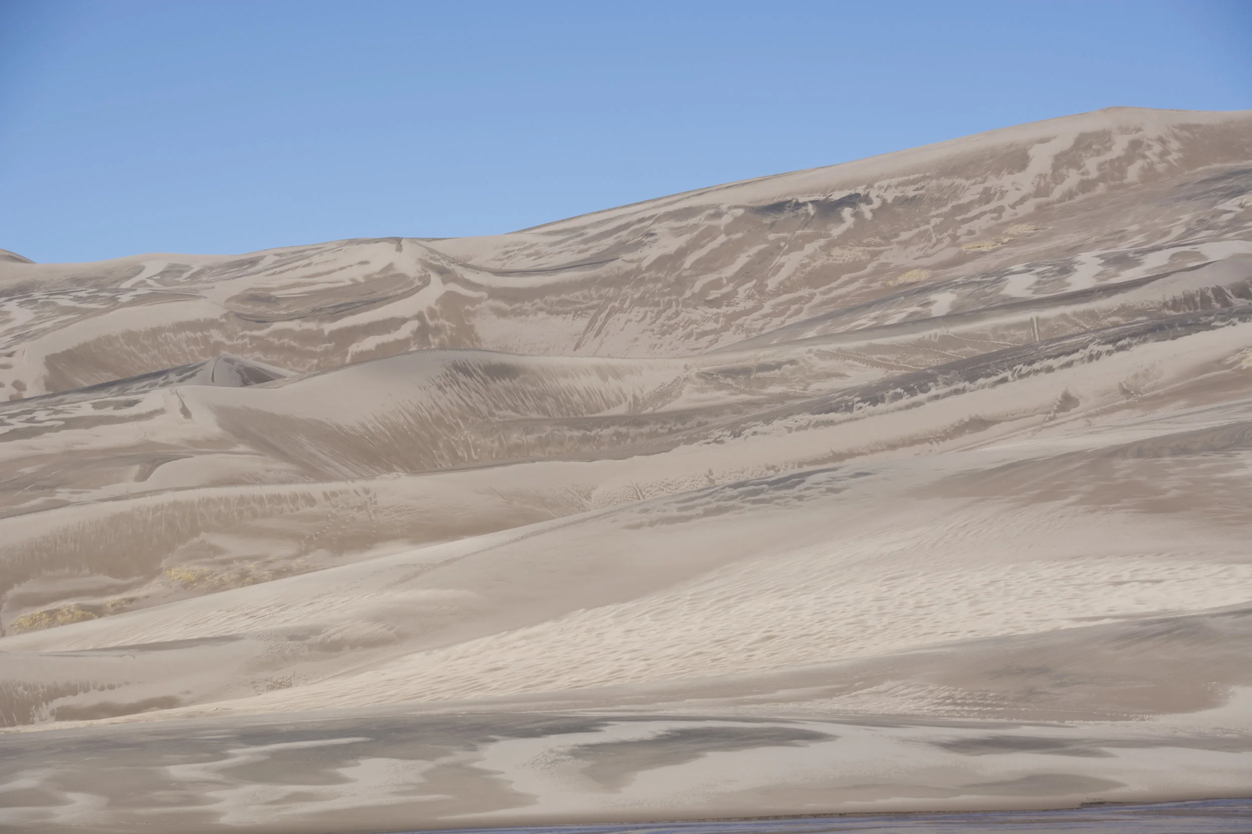 DSC_0415.jpg