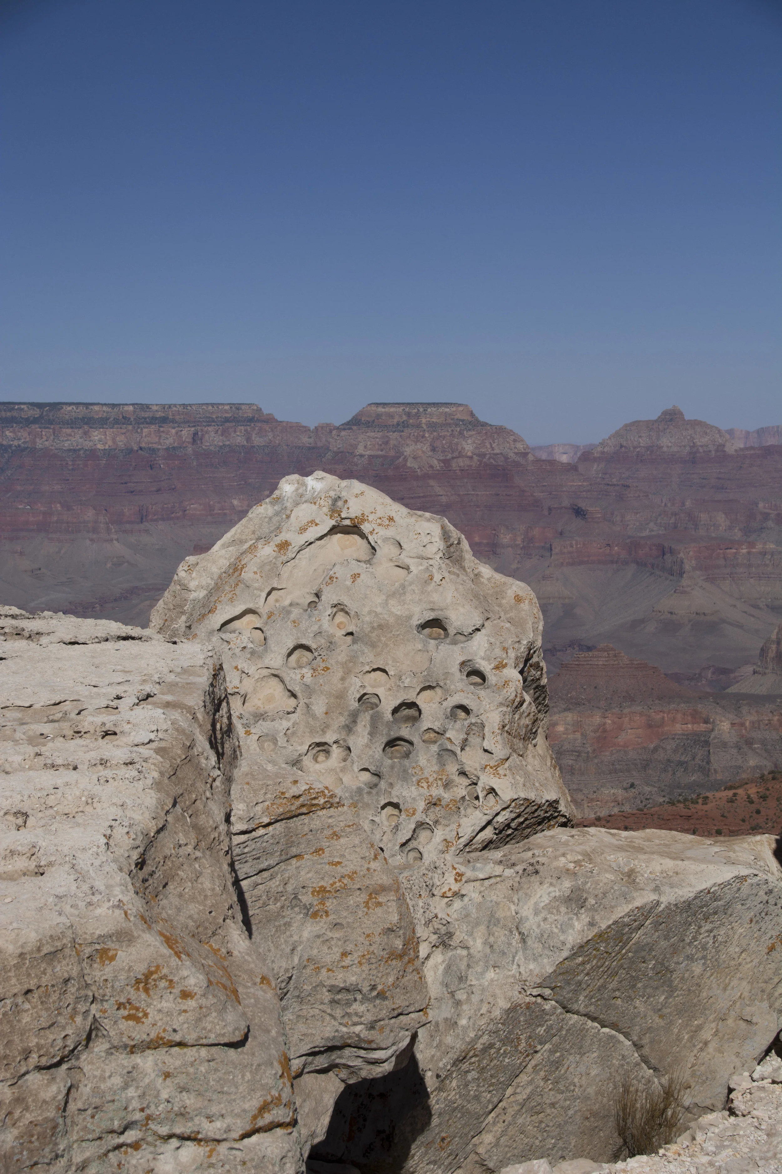 DSC_0469.jpg