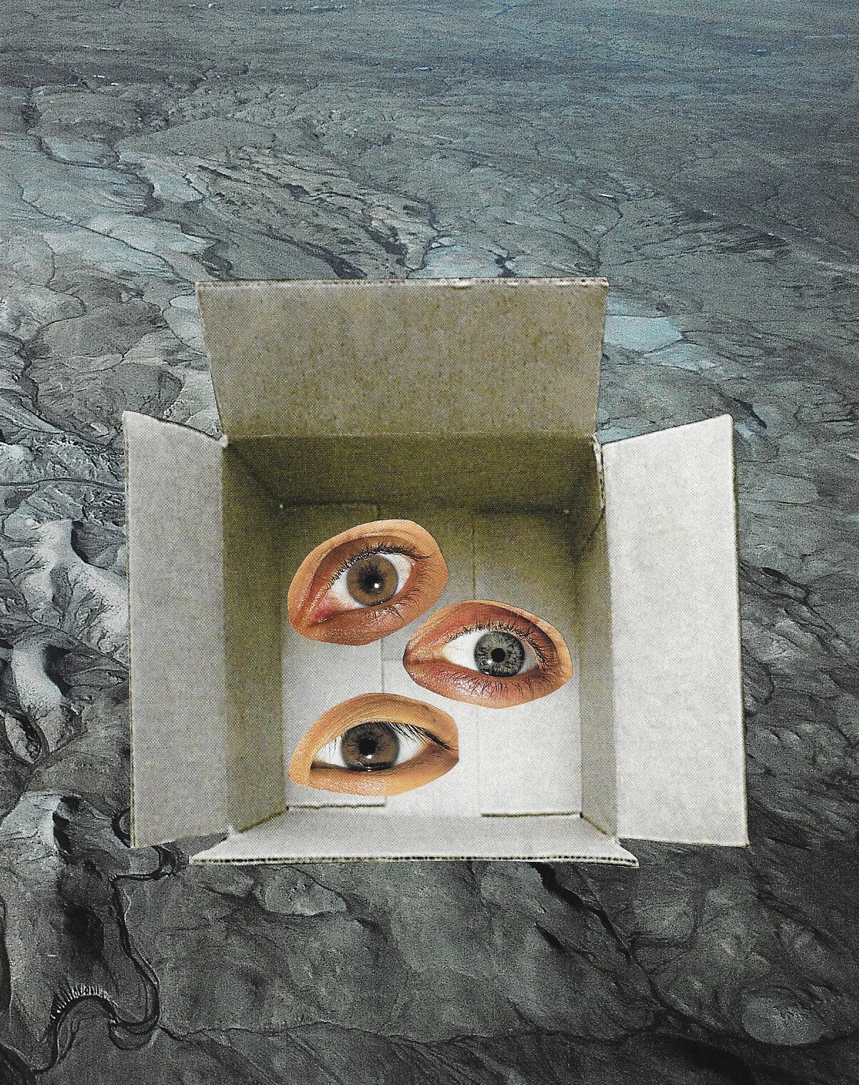old collage 6.jpg