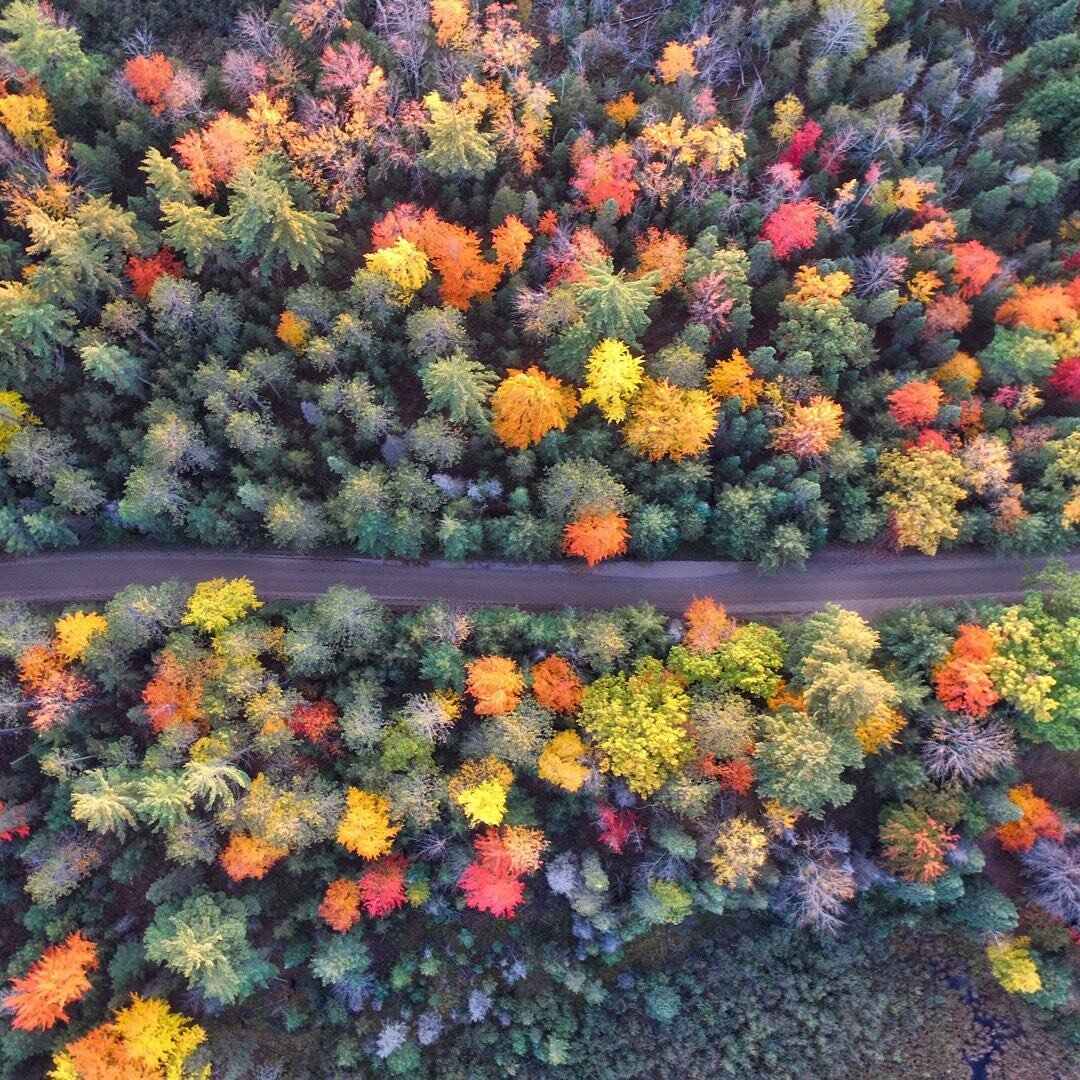 Enjoying Autumn on your bike is the best way to take in the season! 

#haleycycles #gravelbike #gravel #gravelgrinder #gravelride #gravelbikes #gravelbikes #gravelcyclist #tybike #titaniumbike #handmadebikes #handmade #madeintheusa #cycling #cyclingl