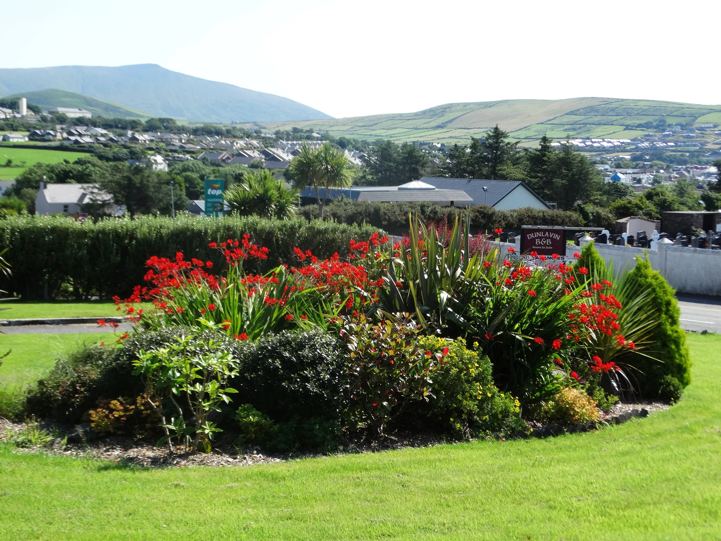 2016-07-21 Dunlavin pics 019.jpg