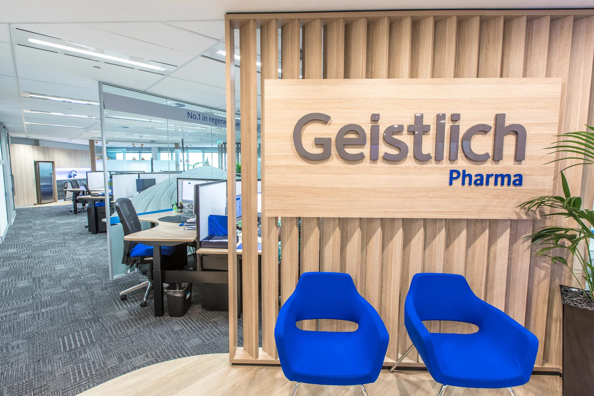 Geistlich-office-4.jpg